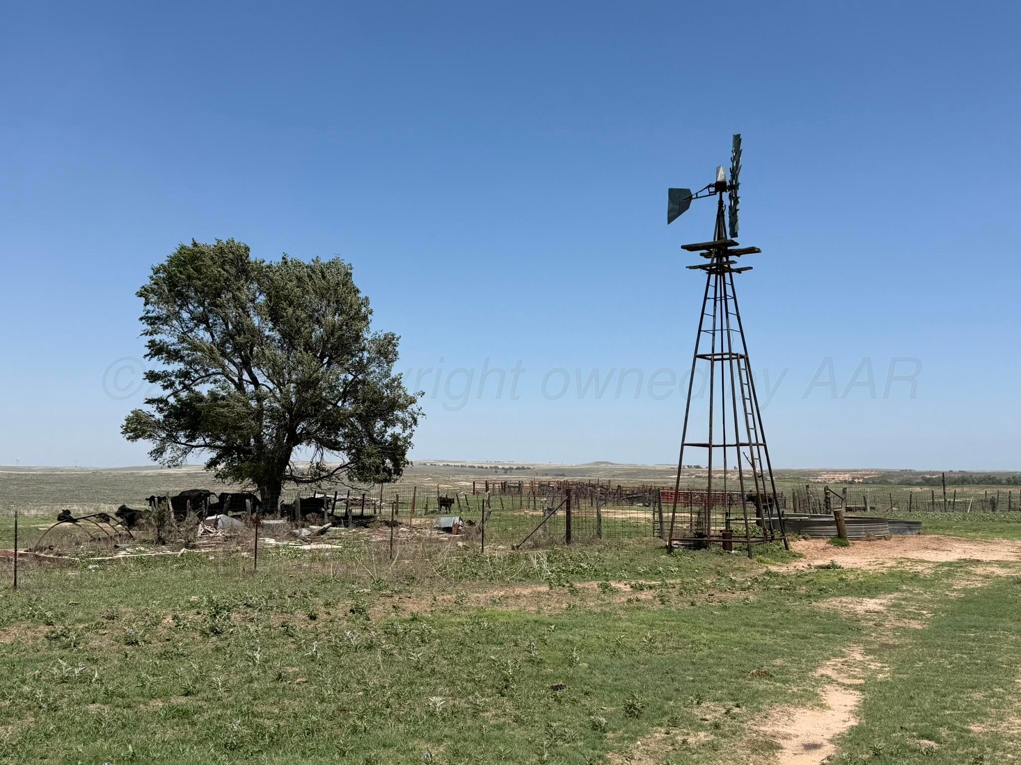 Tbd County Road 3 Property Photo 7