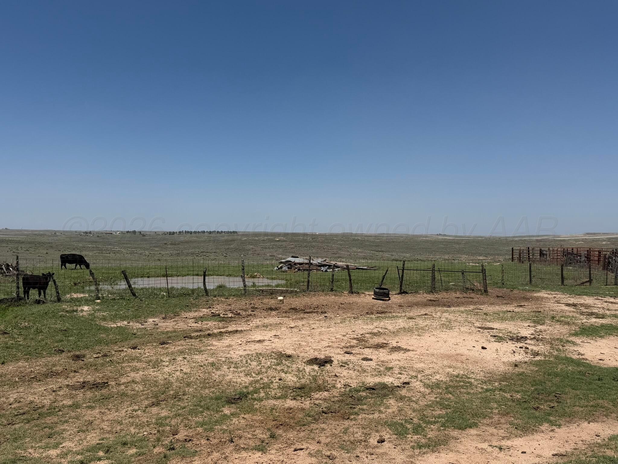Tbd County Road 3 Property Photo 11