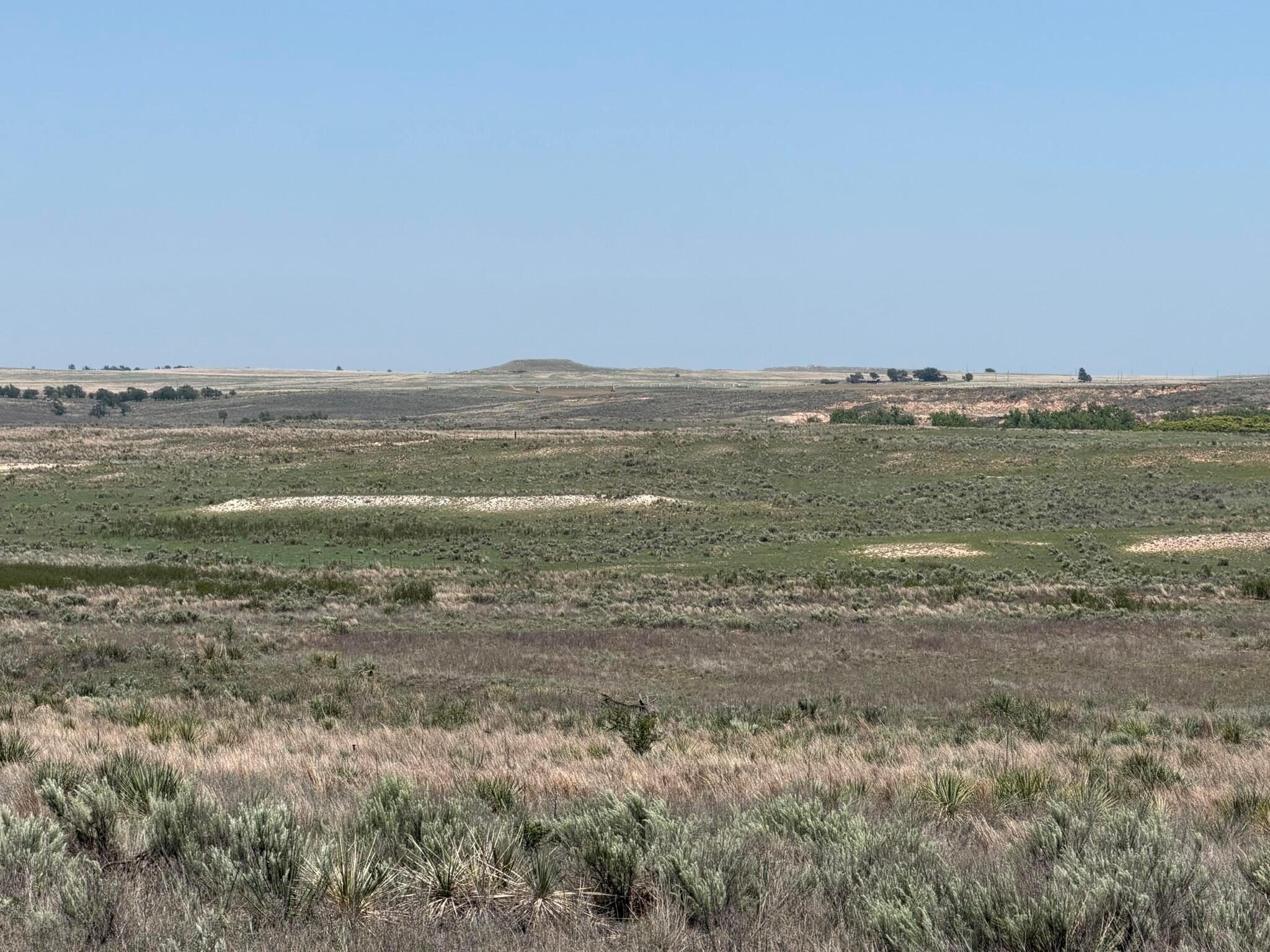 Tbd County Road 3 Property Photo 12