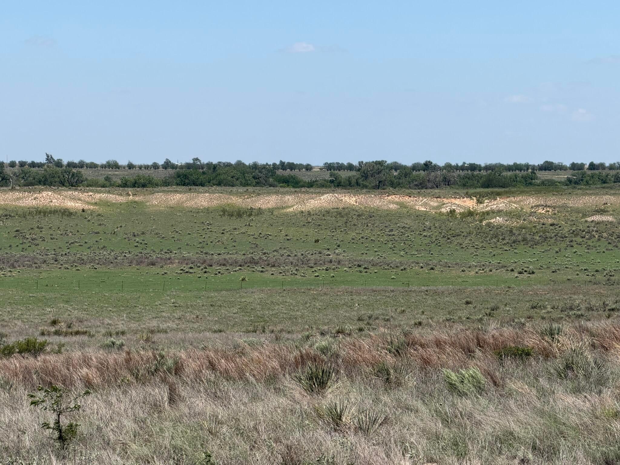 Tbd County Road 3 Property Photo 13