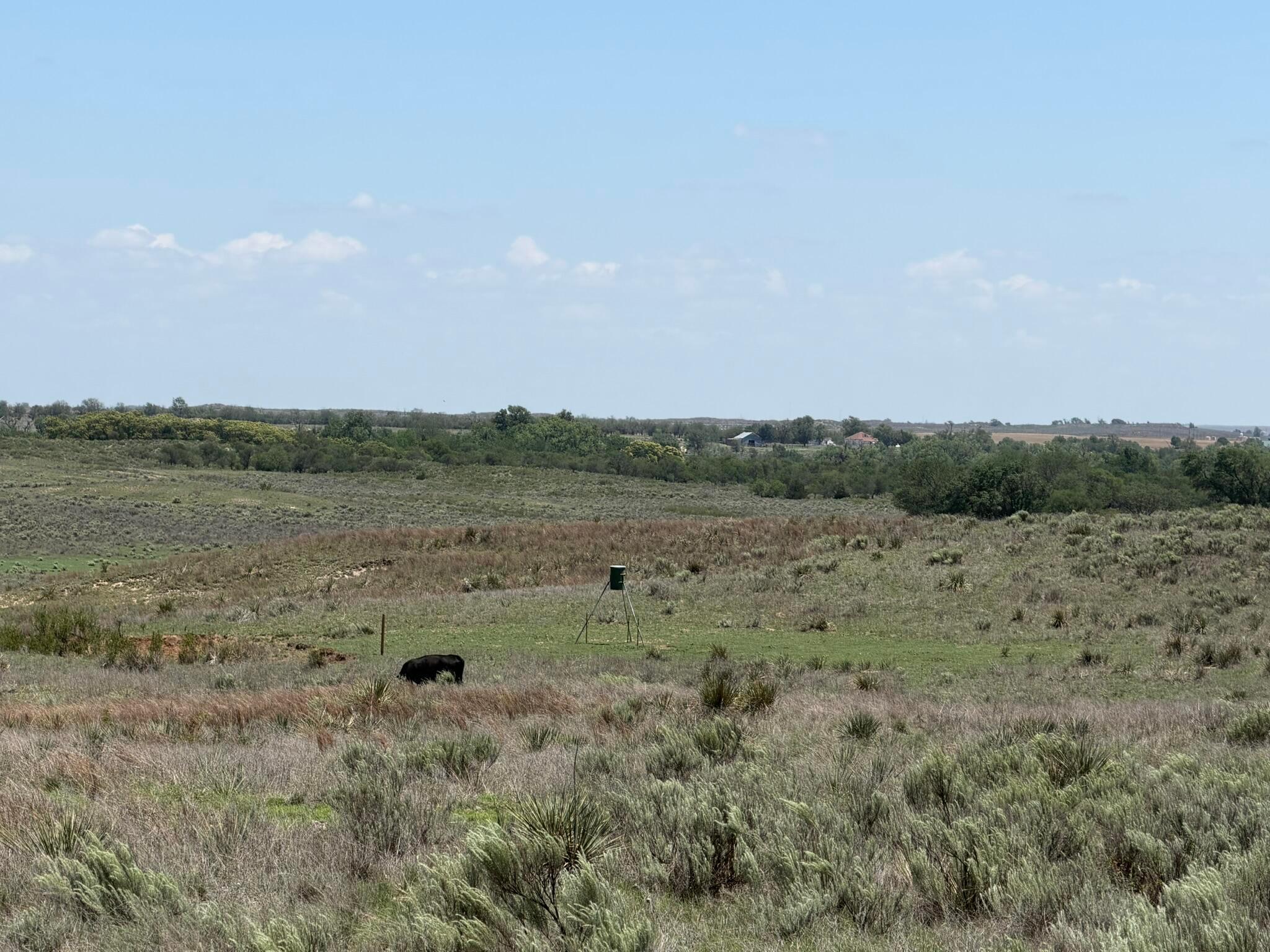 Tbd County Road 3 Property Photo 14
