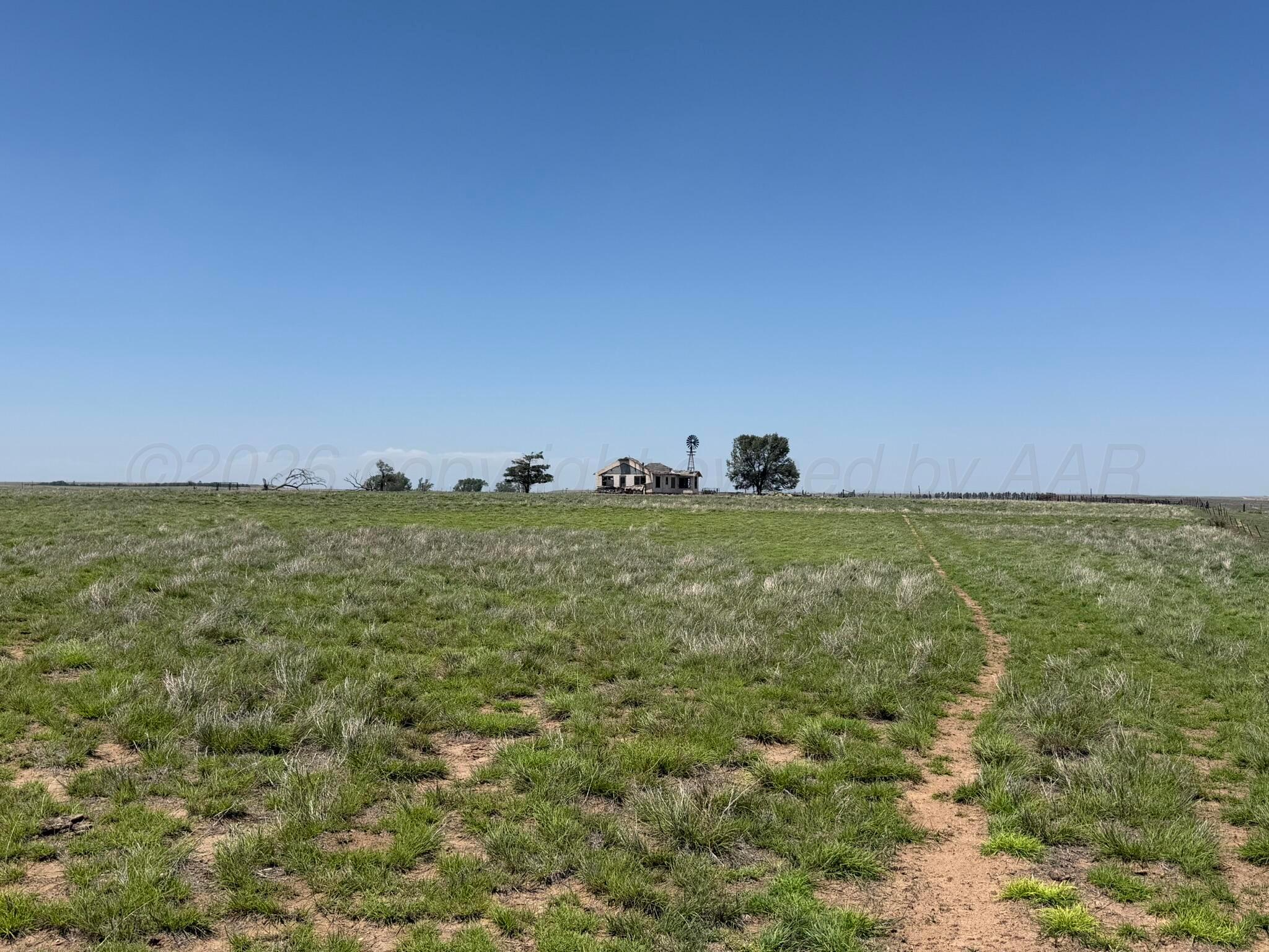 Tbd County Road 3 Property Photo 16