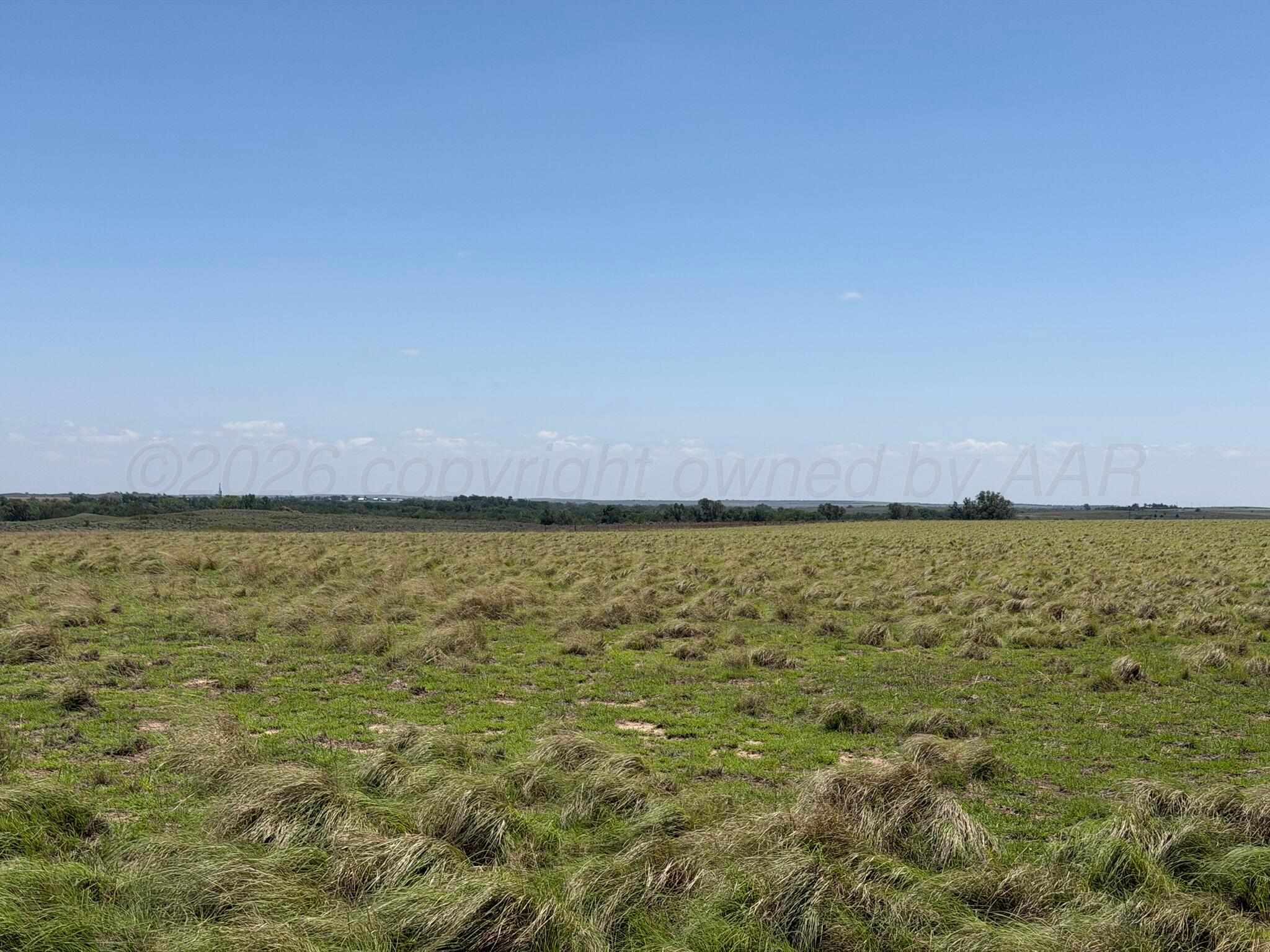Tbd County Road 3 Property Photo 17