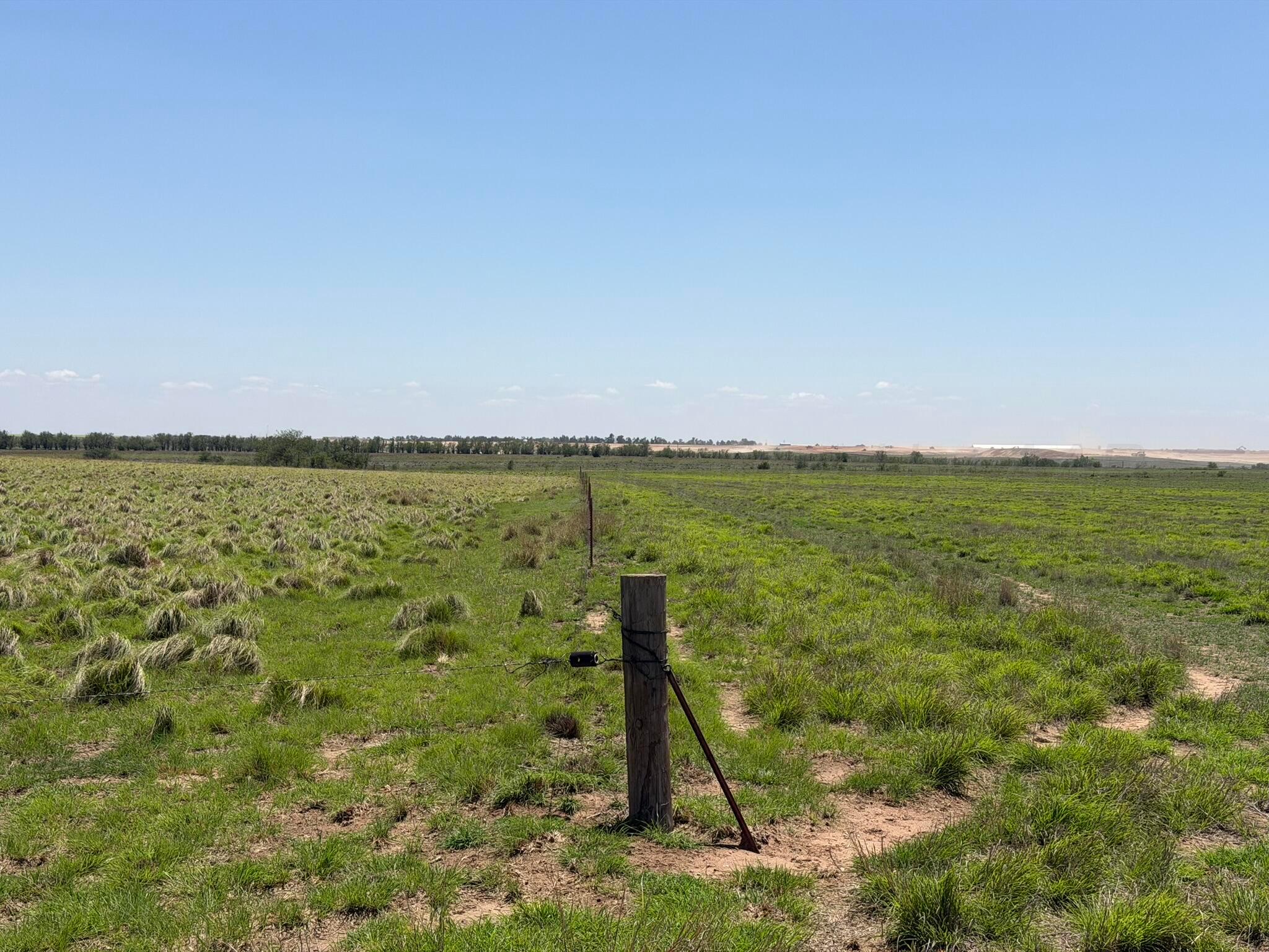 Tbd County Road 3 Property Photo 18