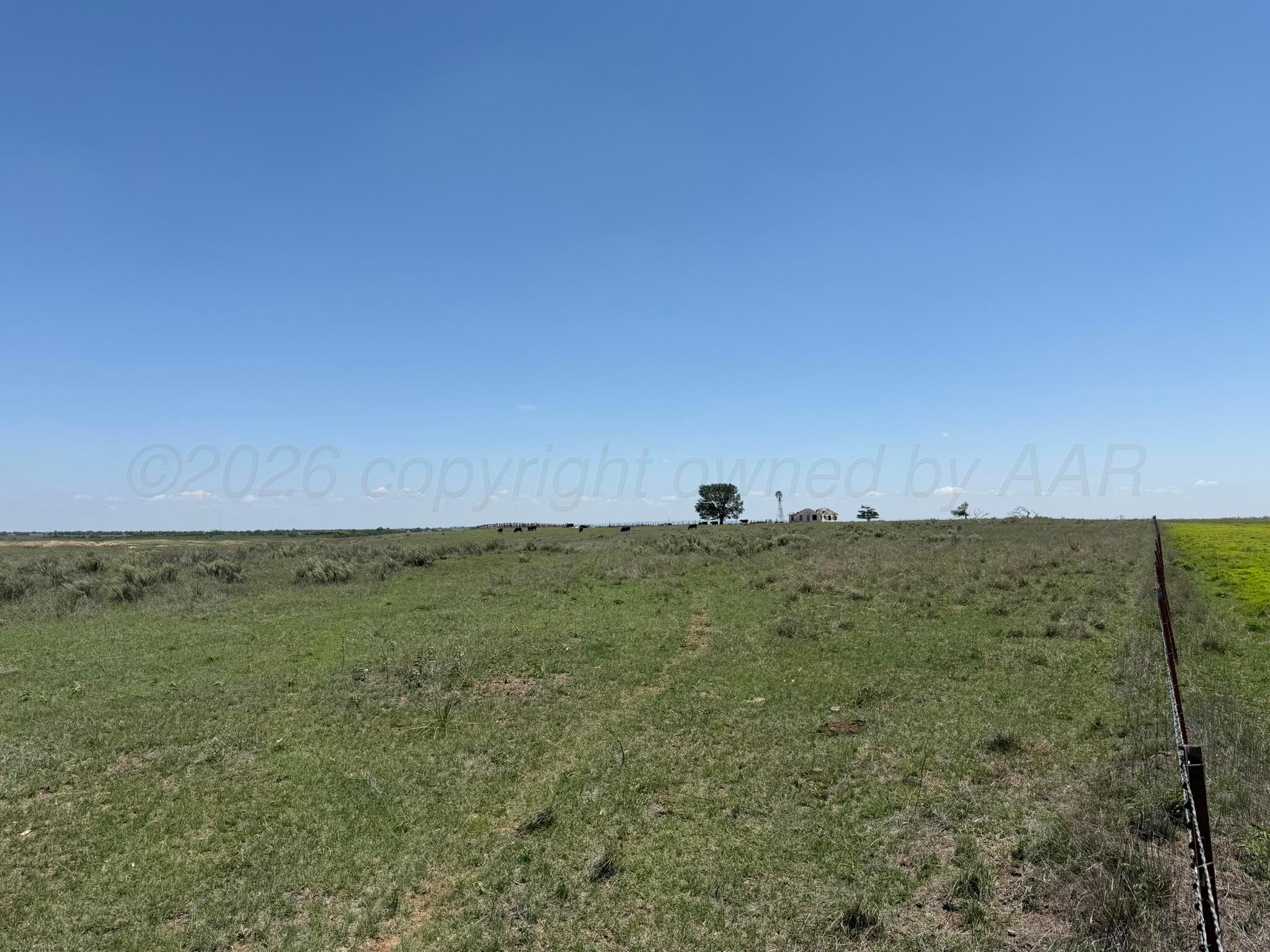 Tbd County Road 3 Property Photo 20