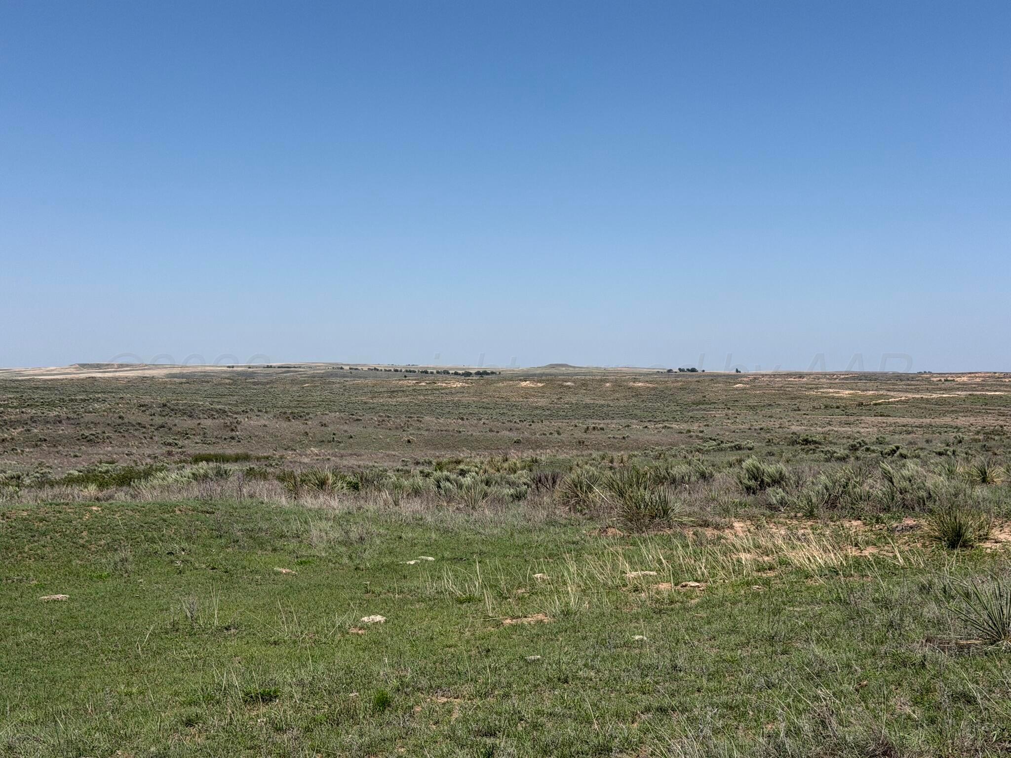 Tbd County Road 3 Property Photo 22