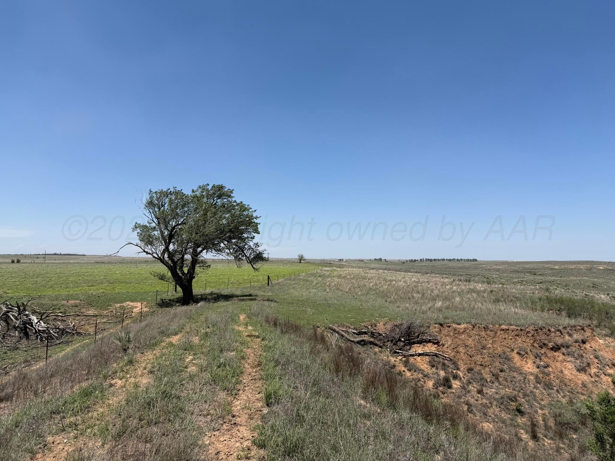 Tbd County Road 3 Property Photo 23