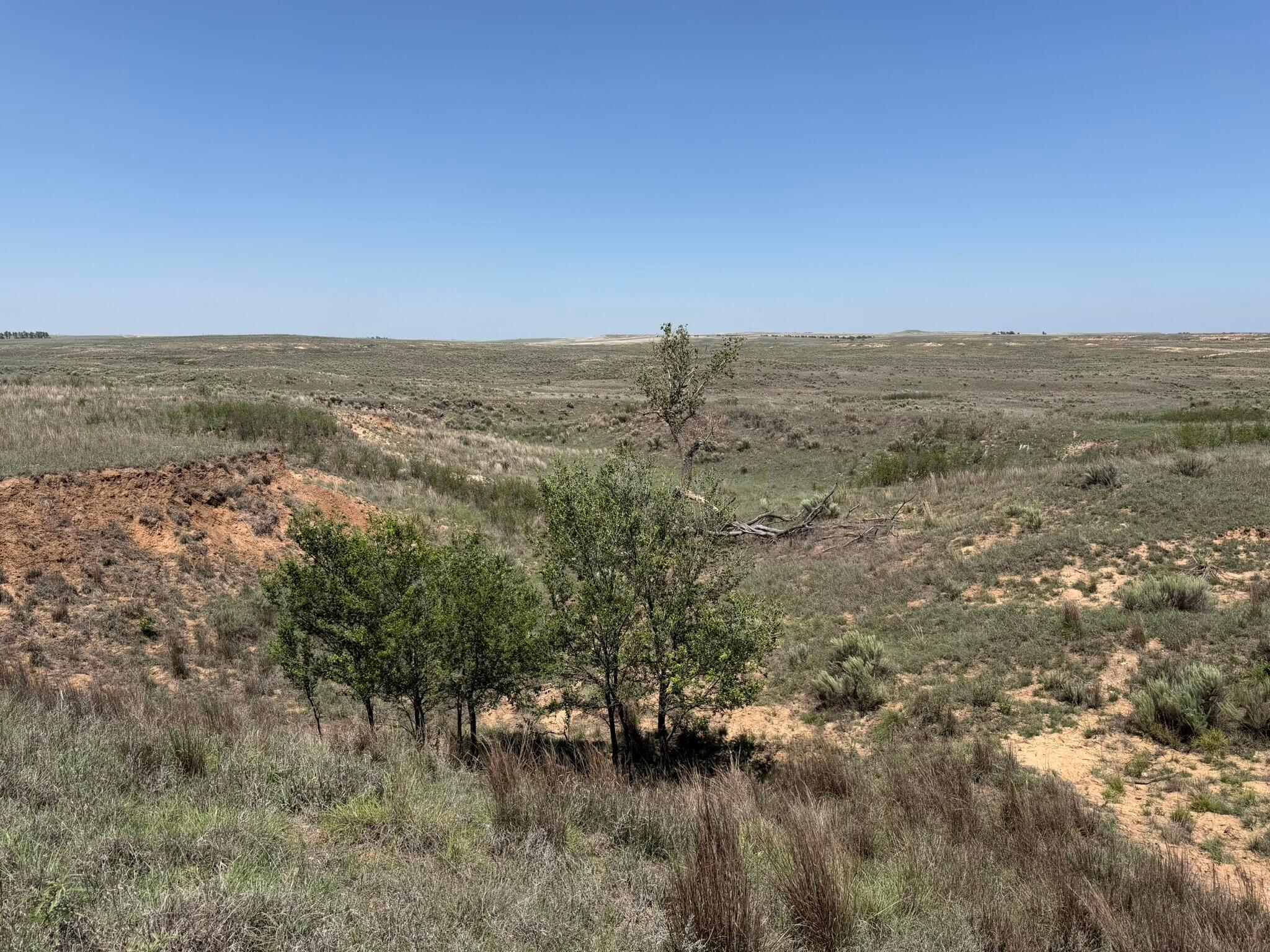 Tbd County Road 3 Property Photo 24