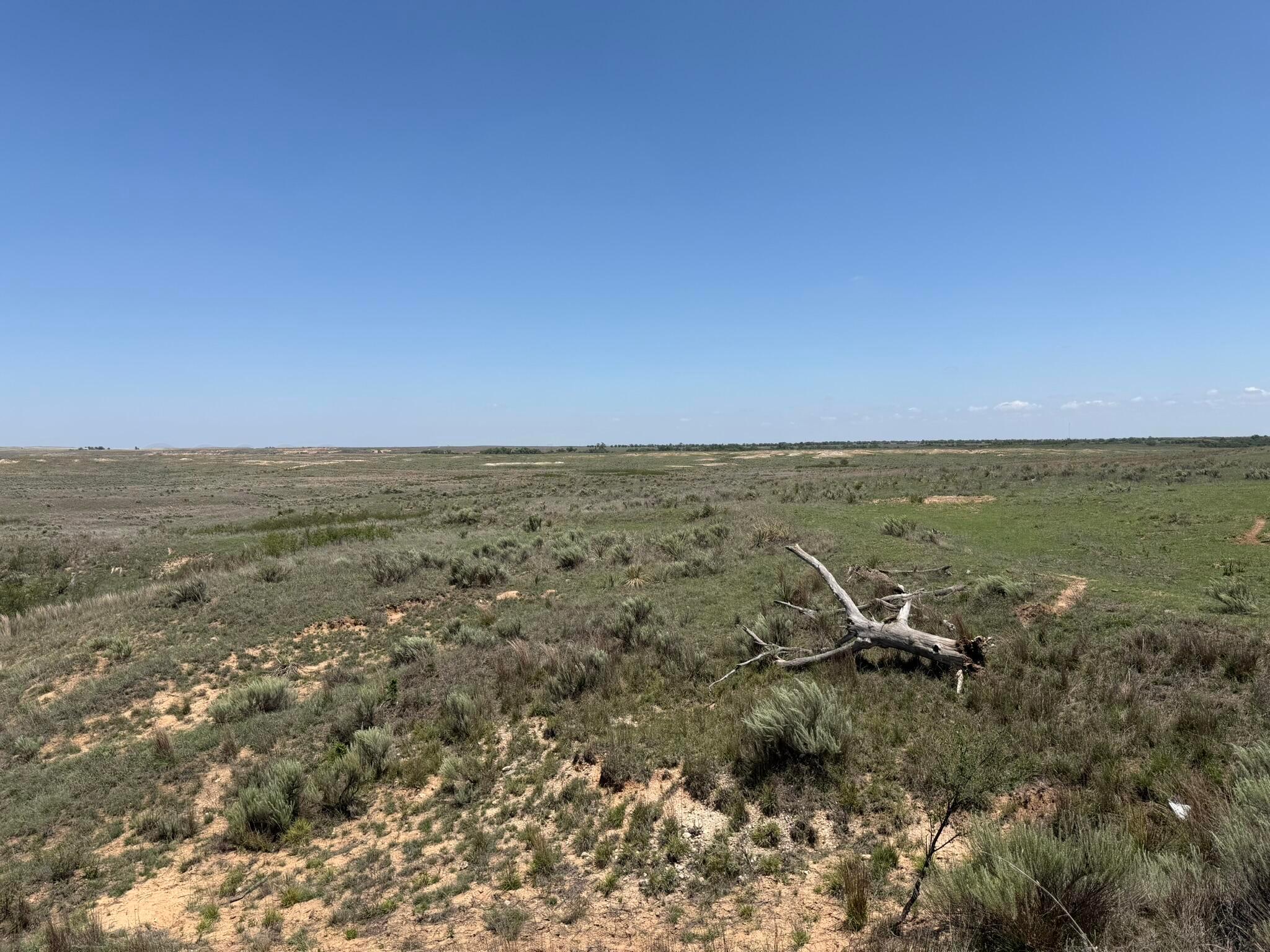 Tbd County Road 3 Property Photo 25