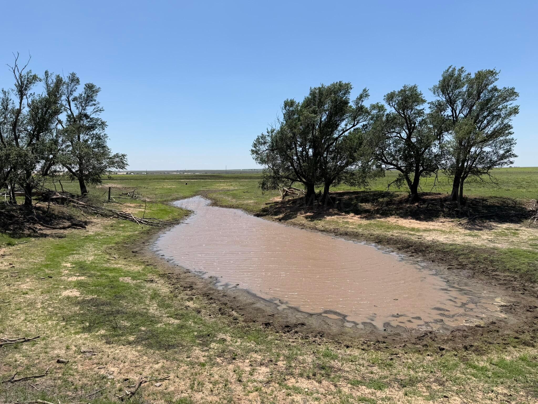 Tbd County Road 3 Property Photo 26