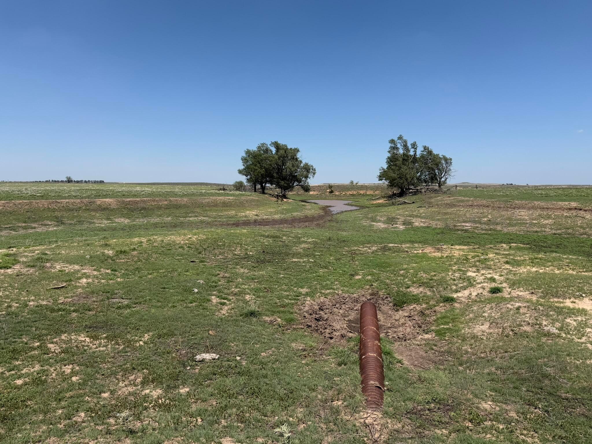 Tbd County Road 3 Property Photo 27