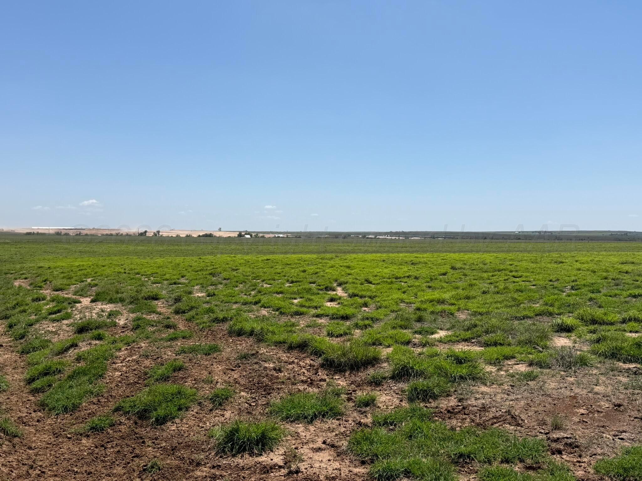 Tbd County Road 3 Property Photo 34