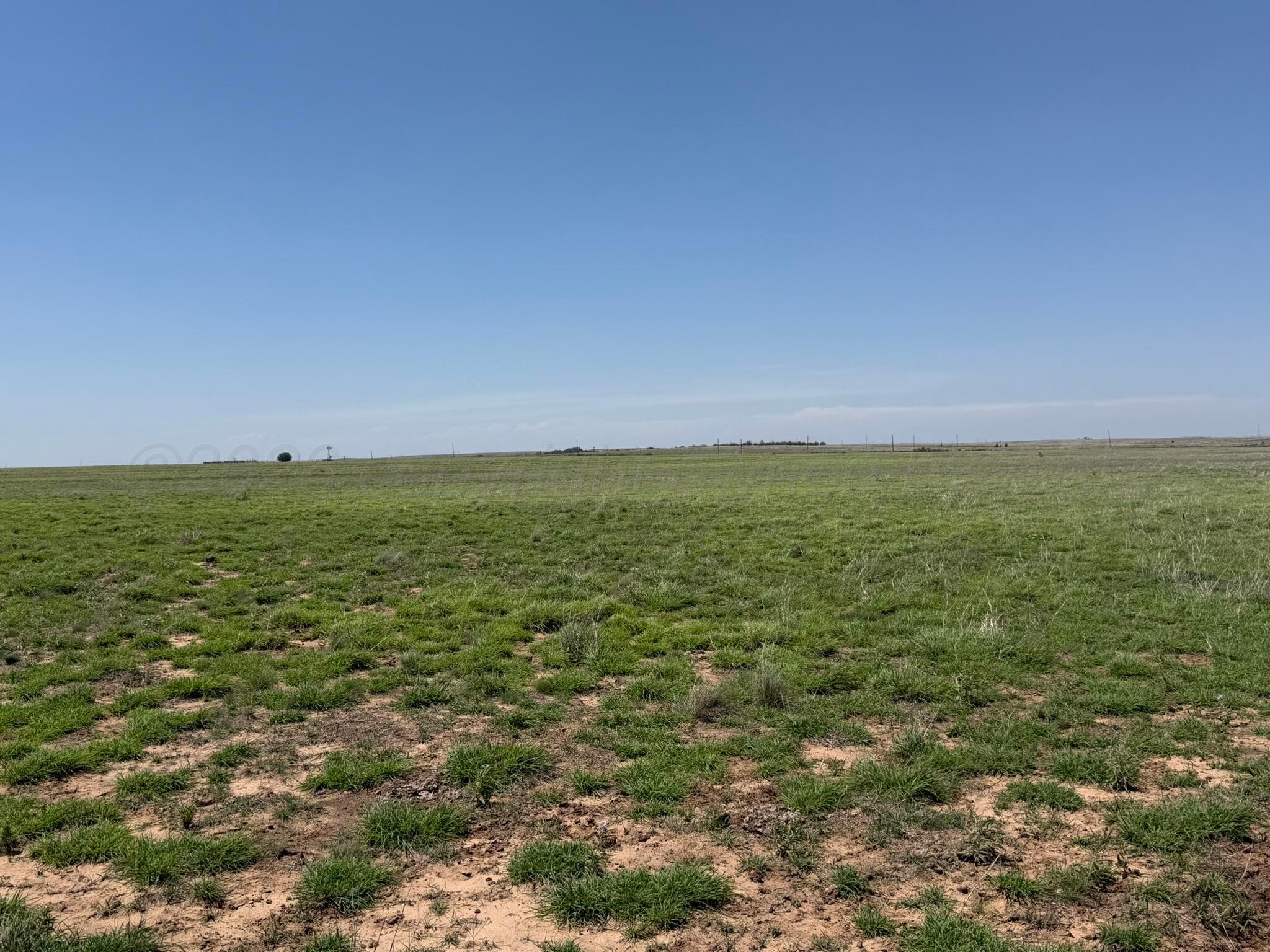 Tbd County Road 3 Property Photo 35