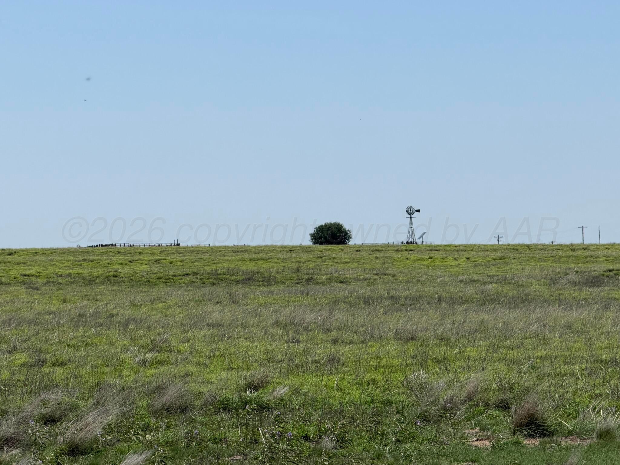 Tbd County Road 3 Property Photo 36