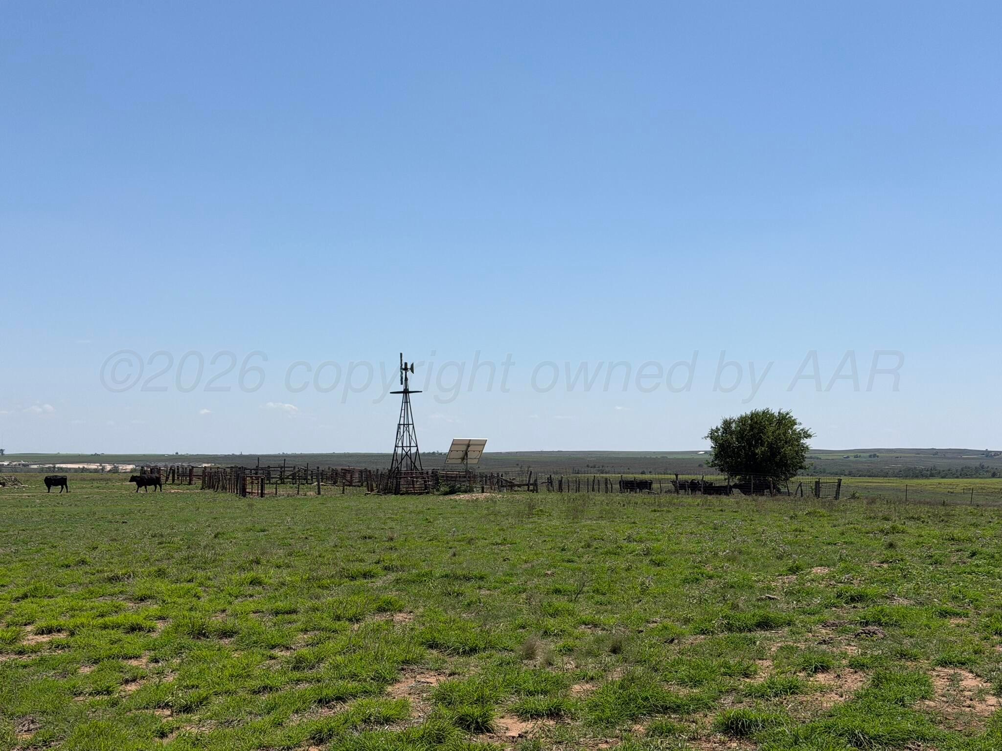 Tbd County Road 3 Property Photo 39