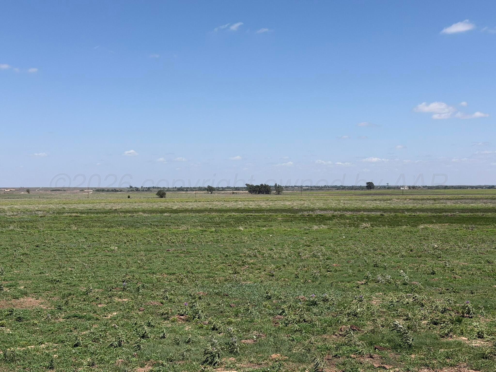 Tbd County Road 3 Property Photo 40