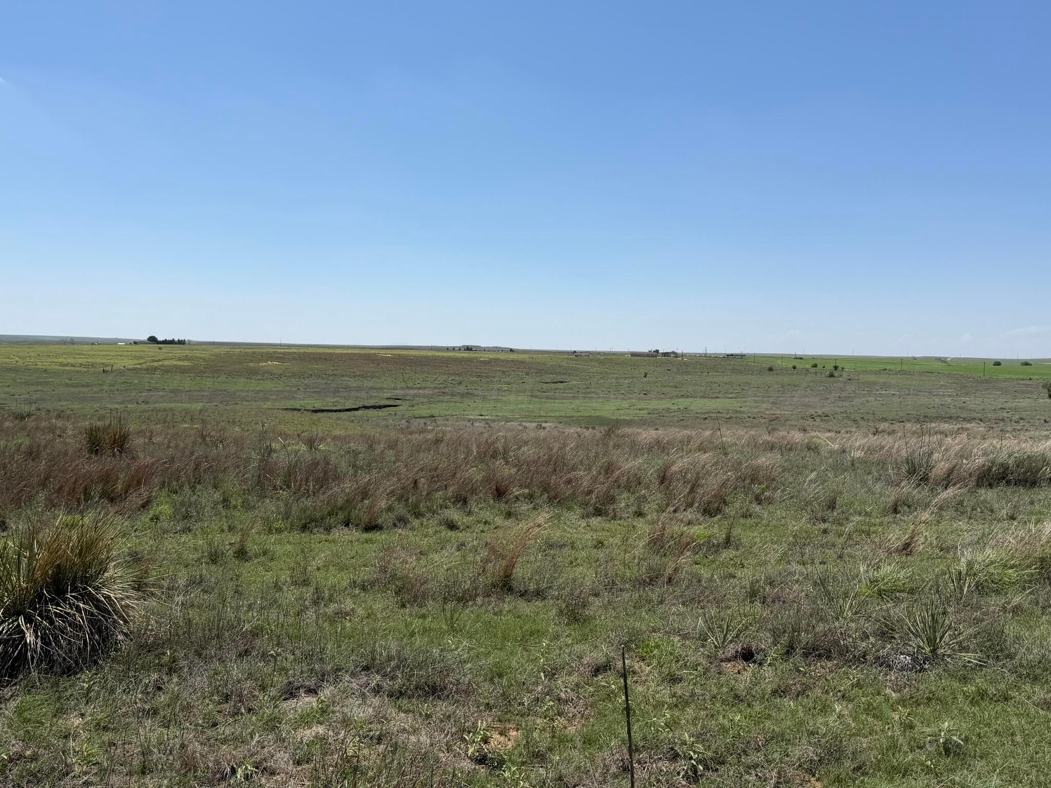 Tbd County Road 3 Property Photo 45