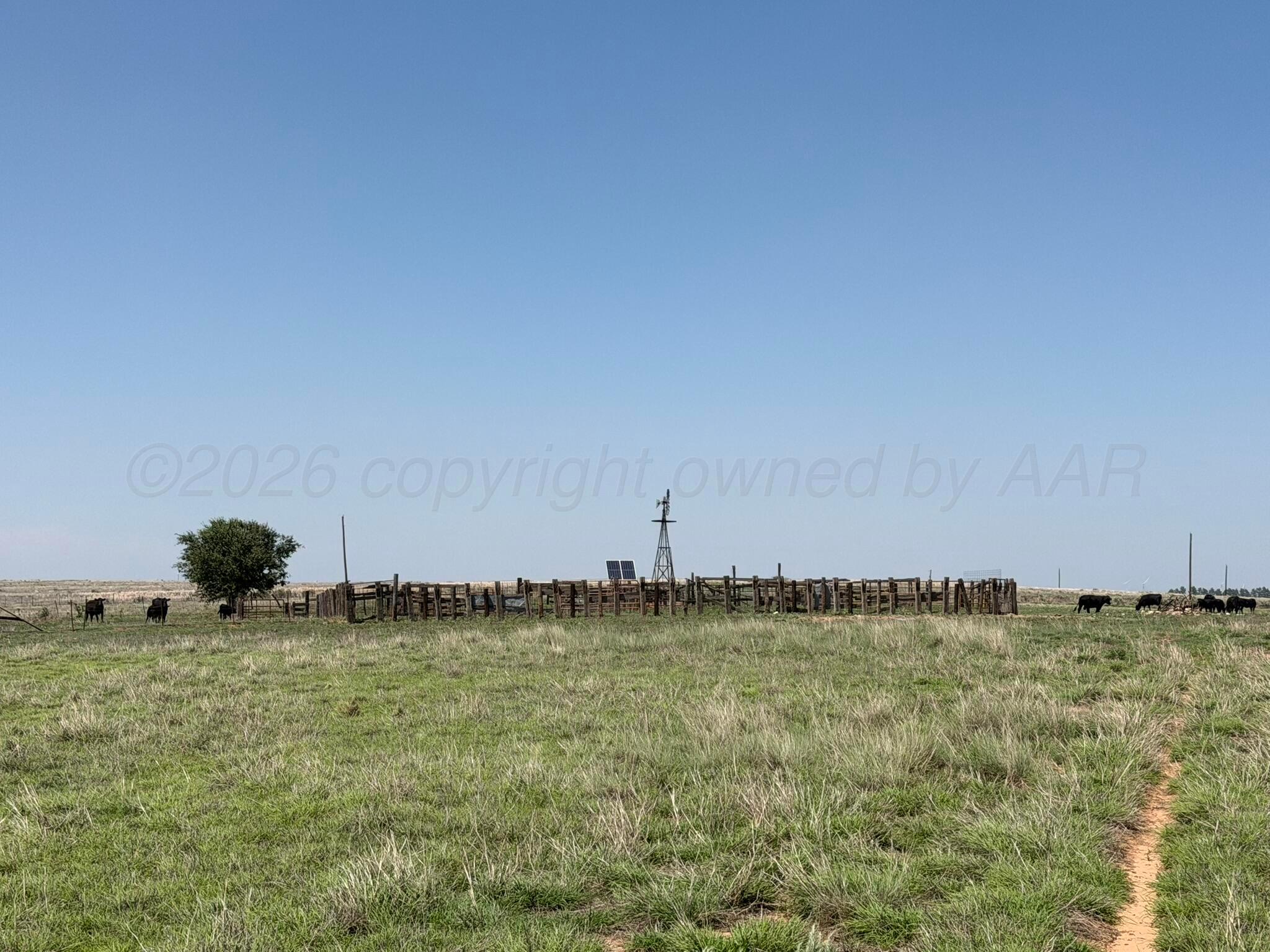 Tbd County Road 3 Property Photo 46