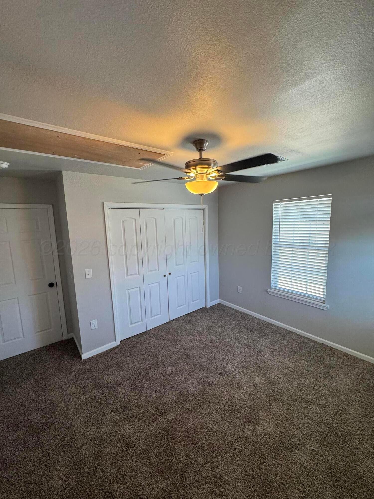 117 Norton Street Property Photo 7