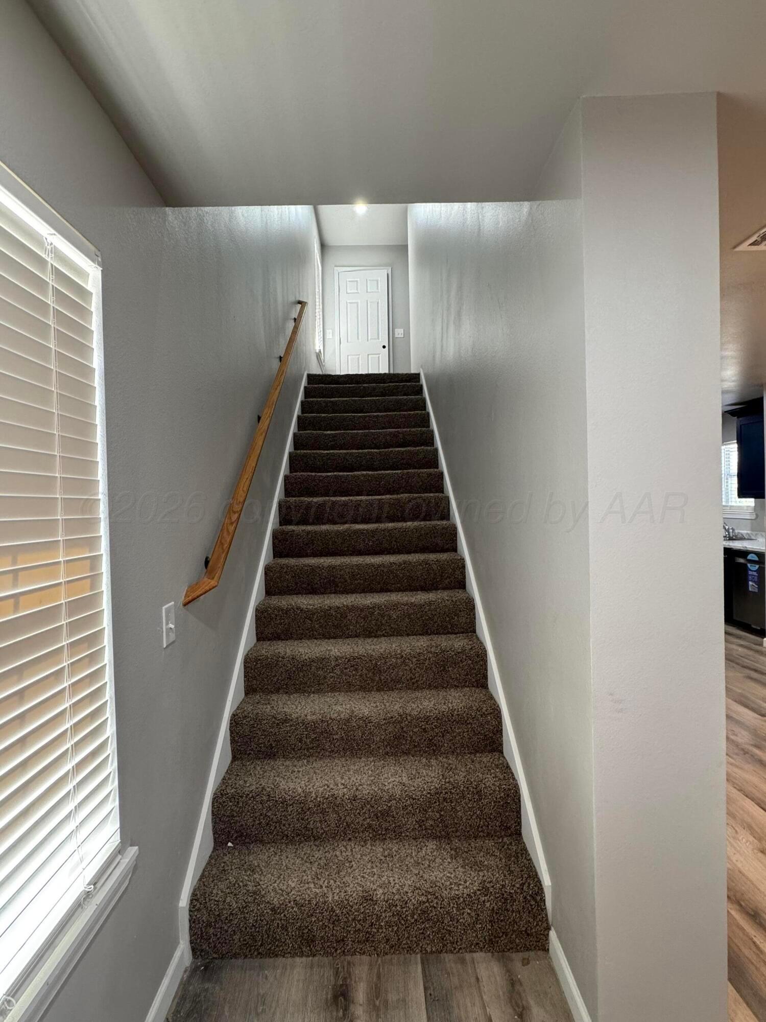 117 Norton Street Property Photo 8
