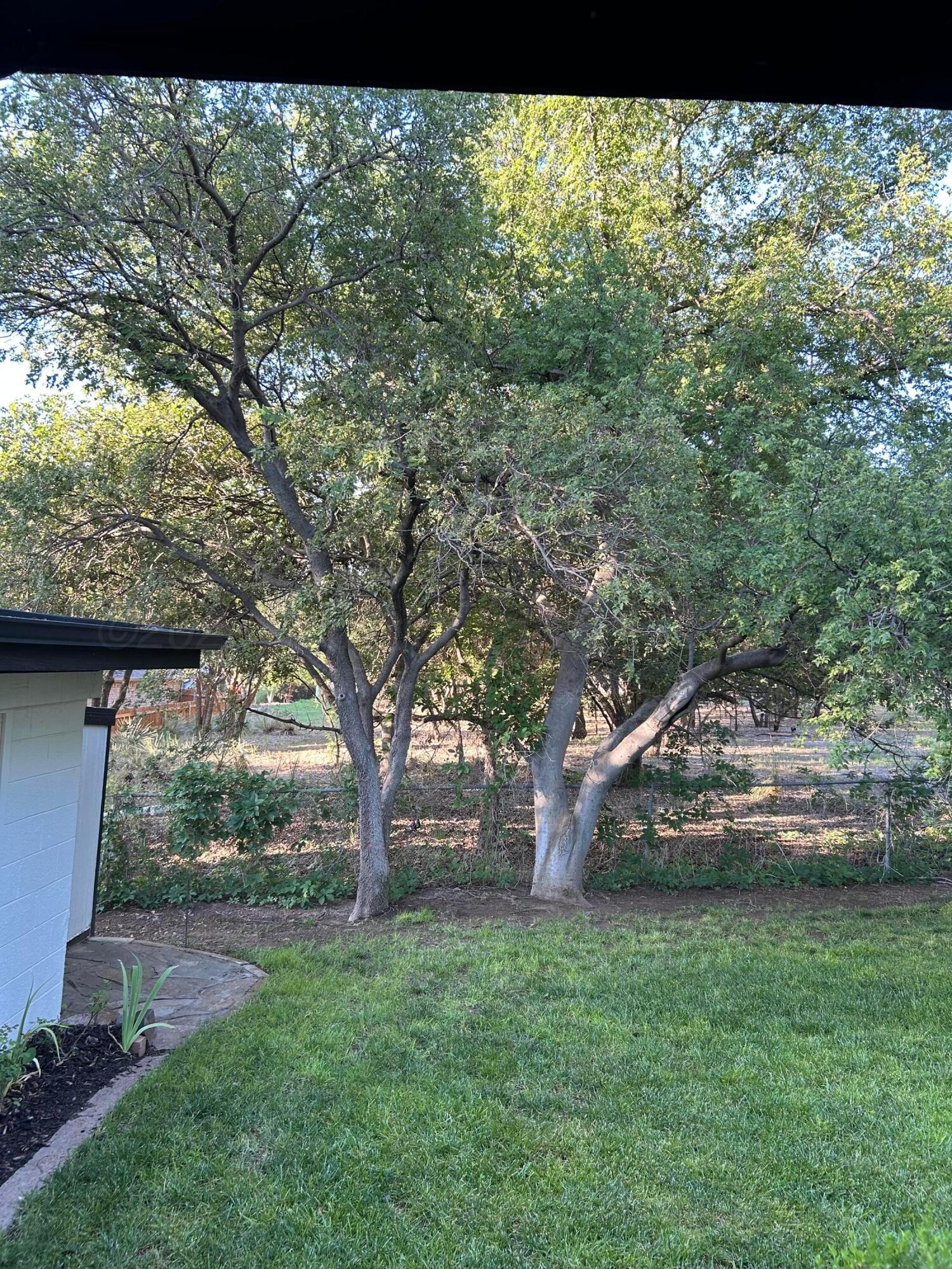 153 N Timbercreek Circle Property Photo 41