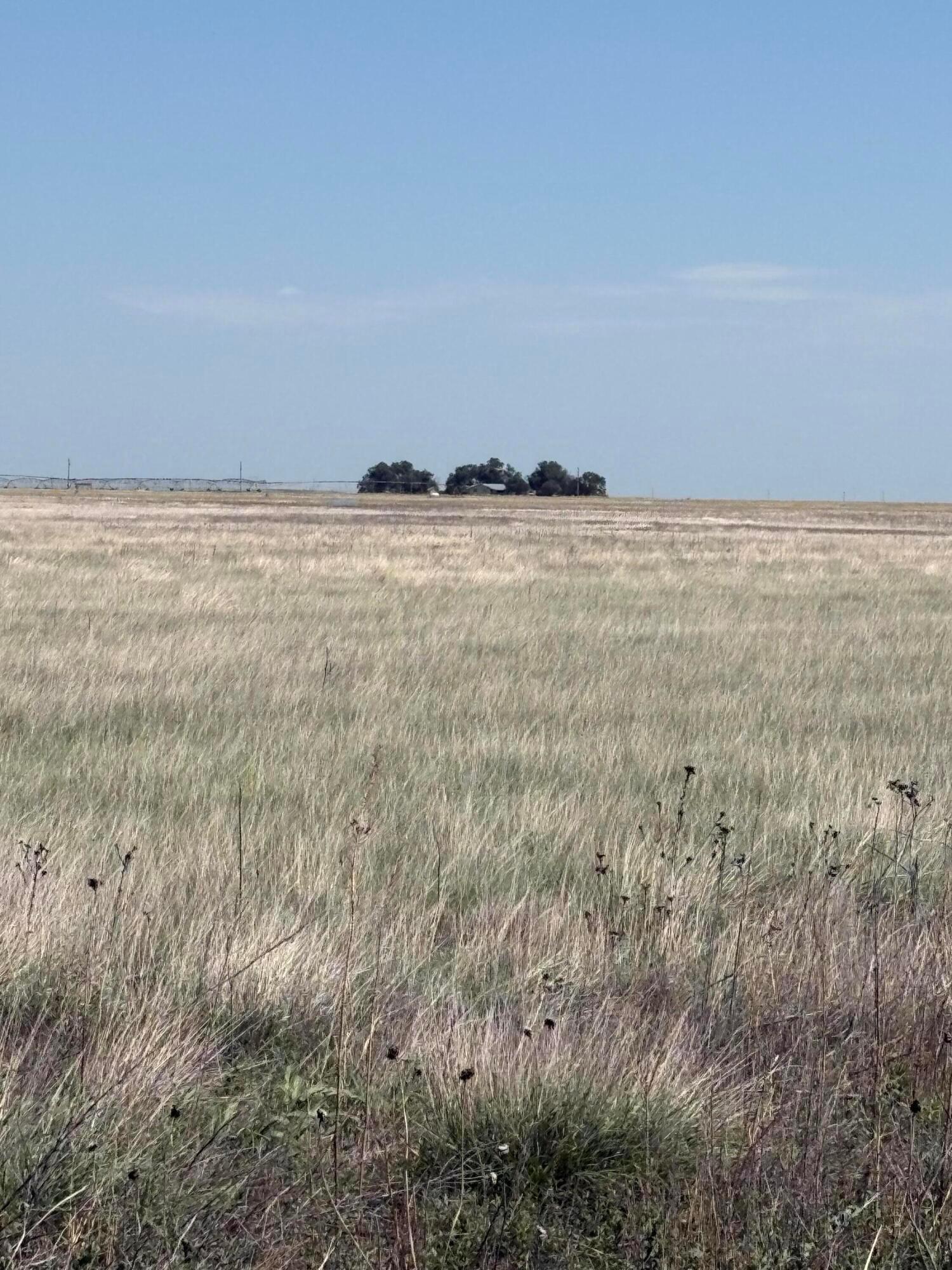 Guymon