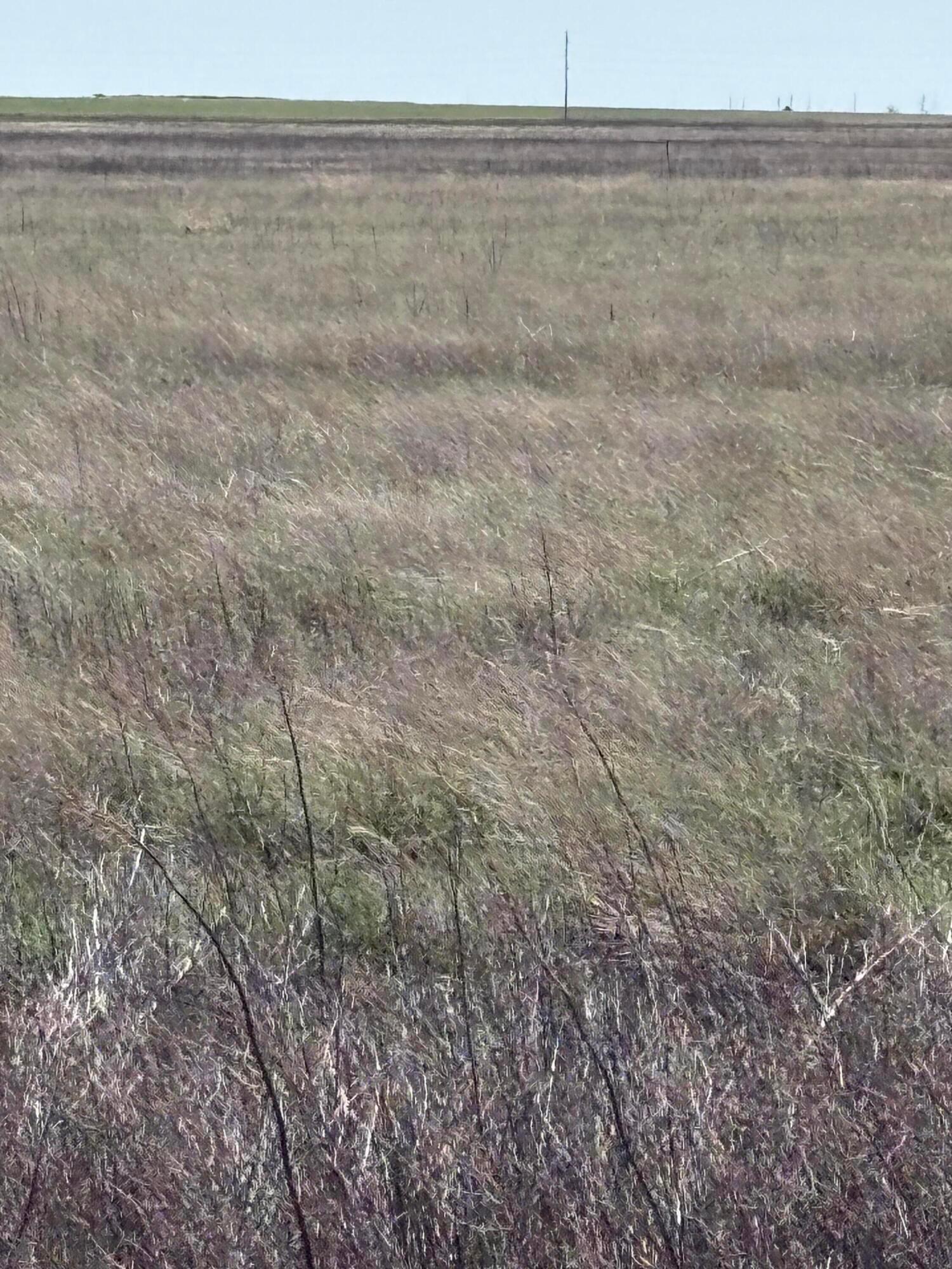 Guymon Property Photo 3