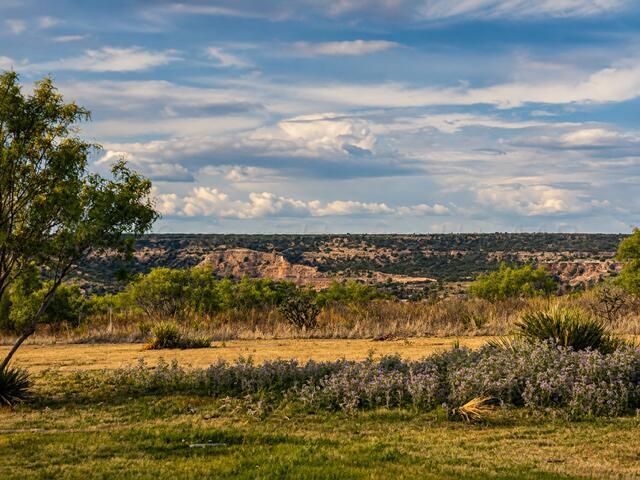 7701 Canyon Bend Road Property Photo 66