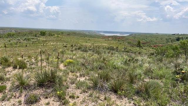 0 Camino Real Property Photo 1