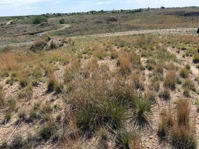 0 Camino Real Property Photo 3