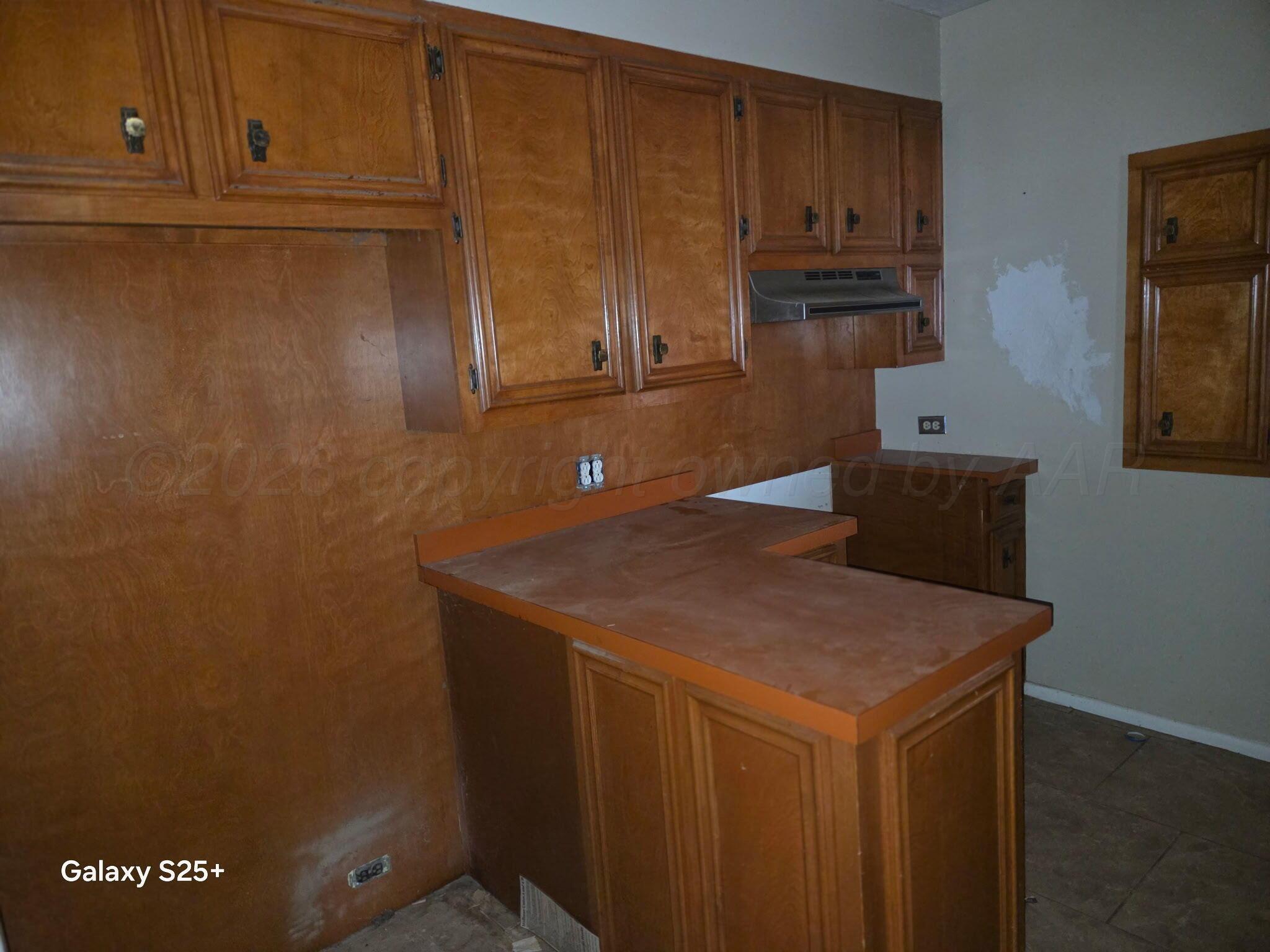 1311 E Reppto Street Property Photo 23