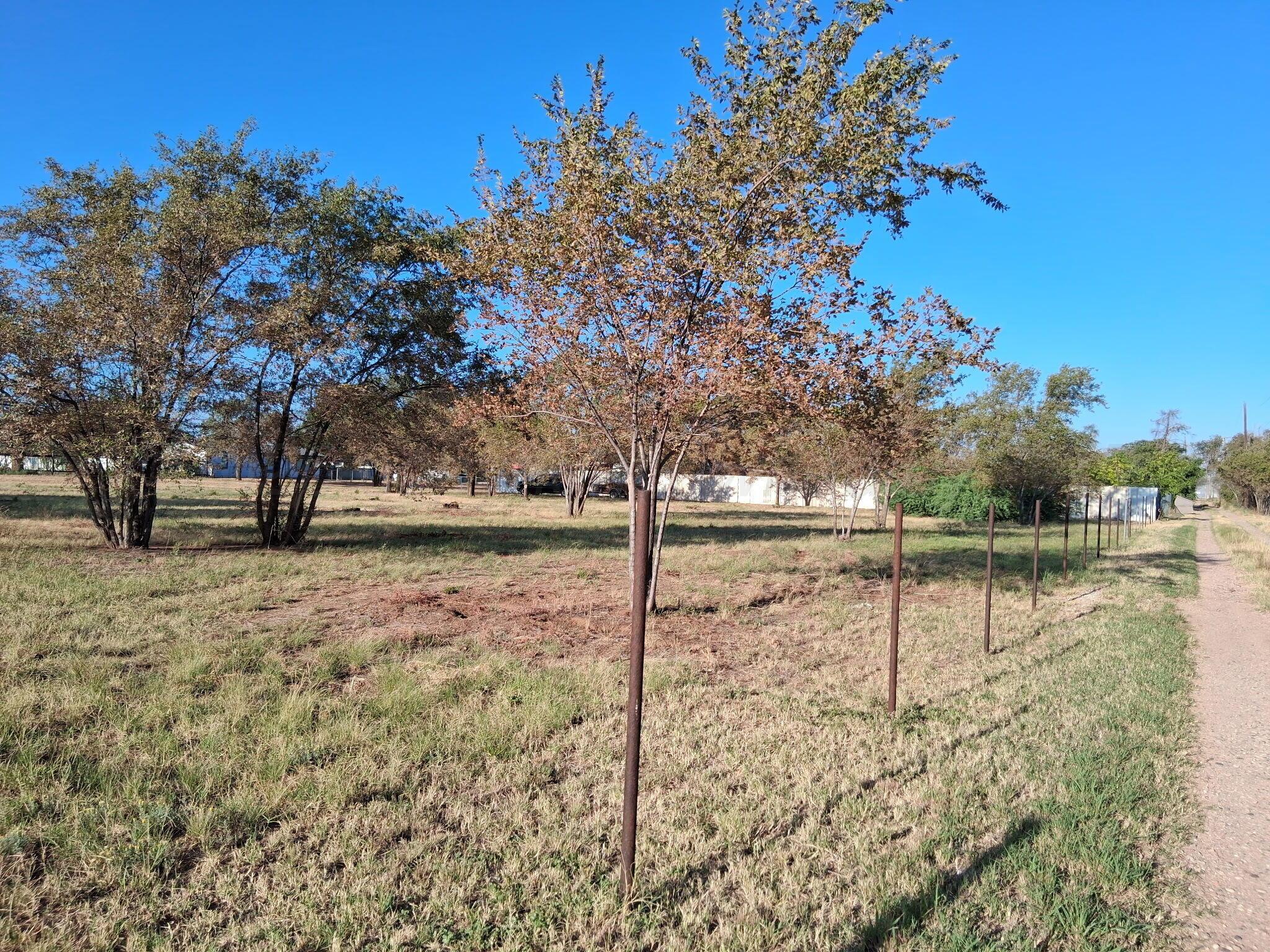 2105 E 47th Street Property Photo 3