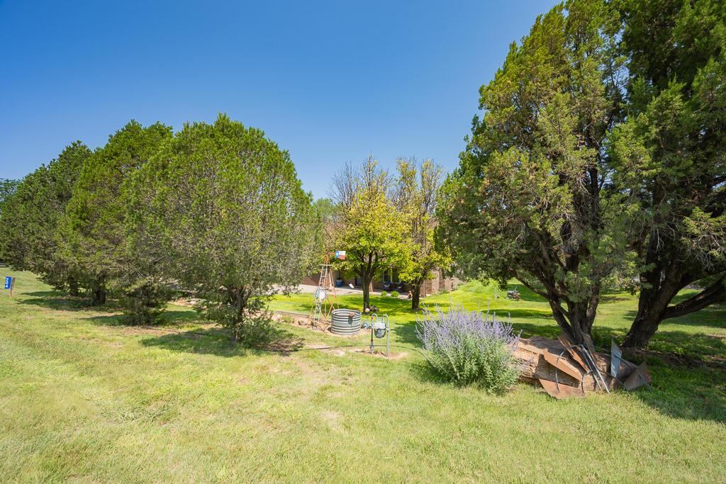 204 S Timbercreek Drive Property Photo 11