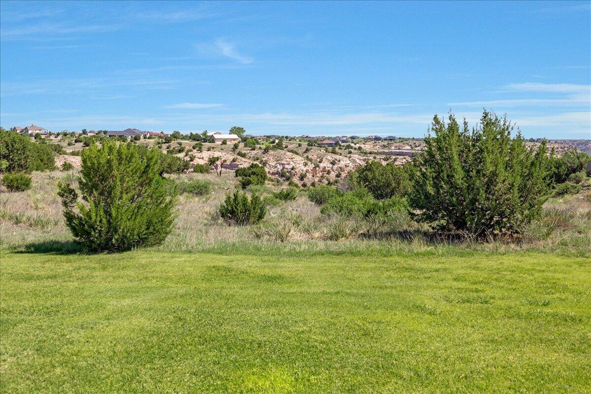 6801 White Bluff Trail Property Photo 35