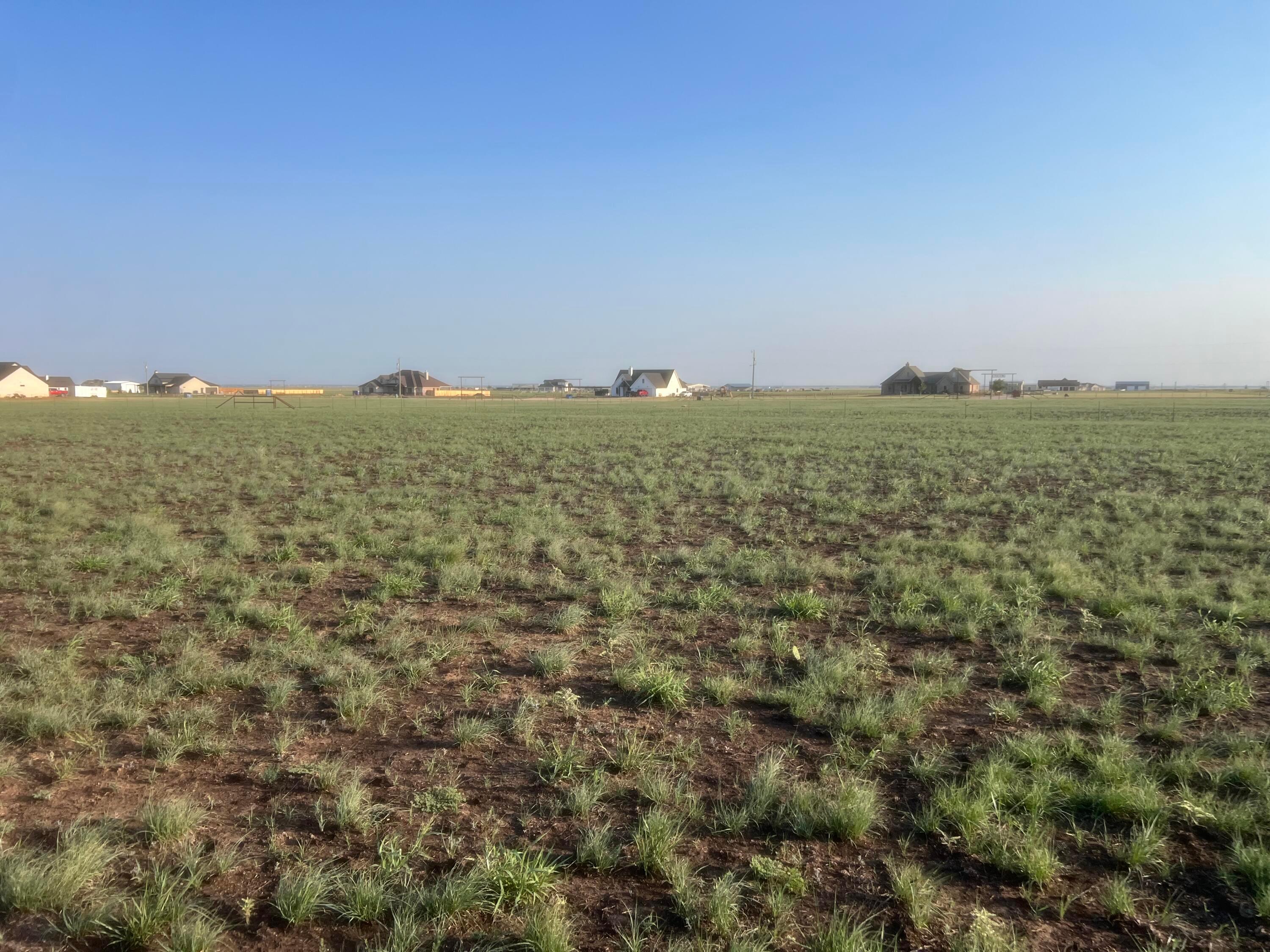 27000 Buddy Lane Property Photo 3