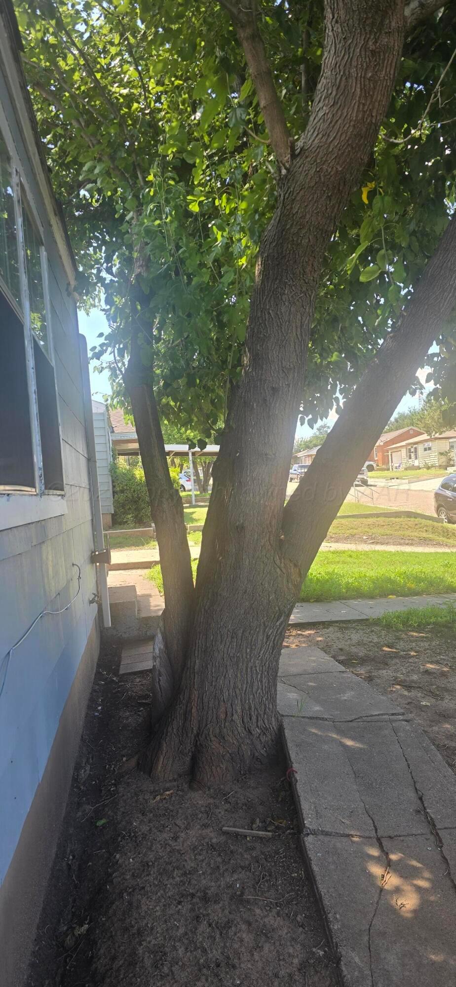 116 Ozmer Street Property Photo 4