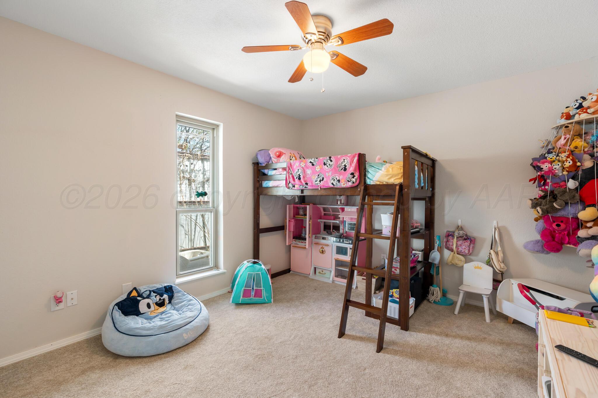 907 Broadmoor Street Property Photo 20