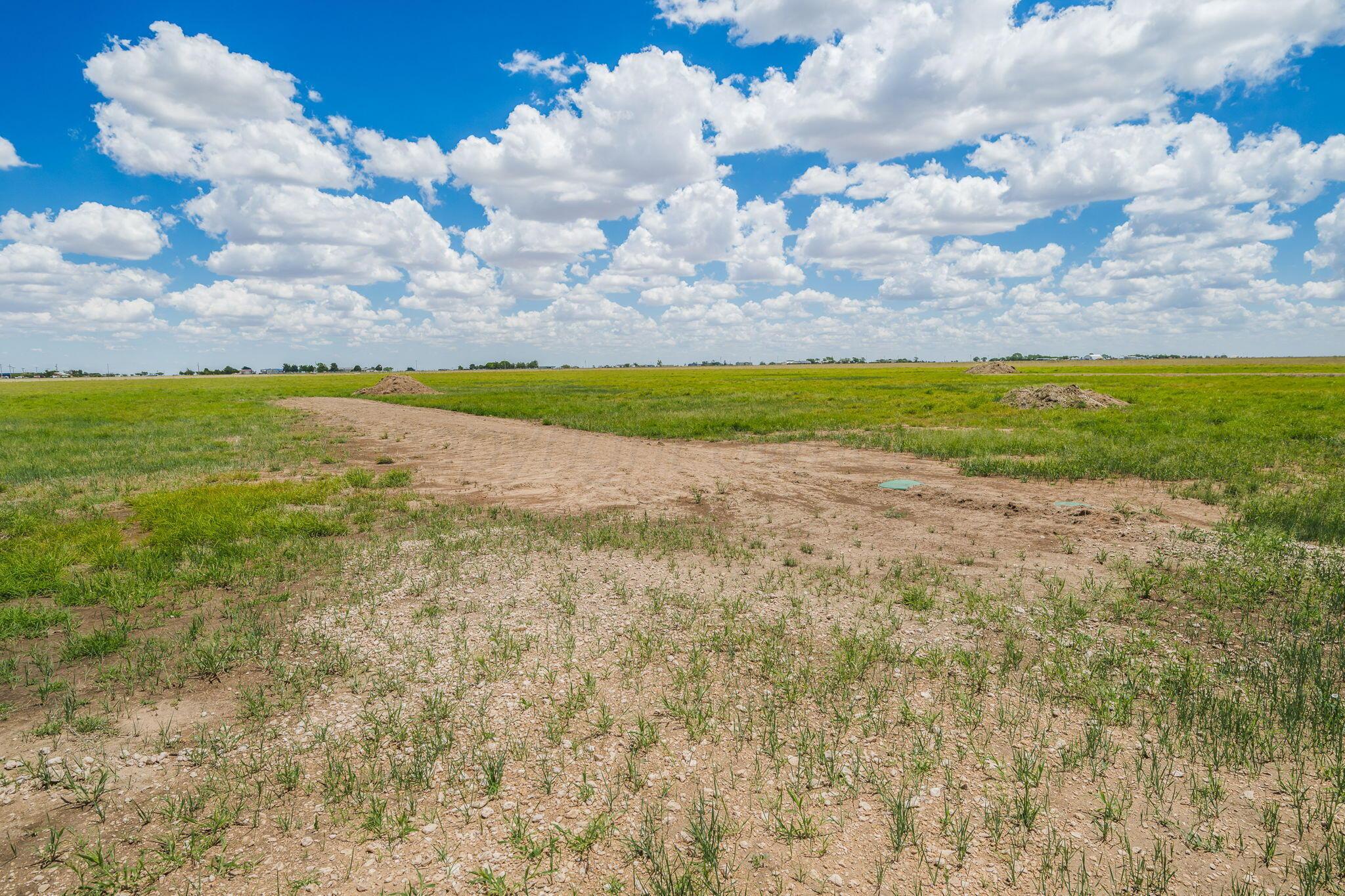 10751 Skyfrost Lane Property Photo 21