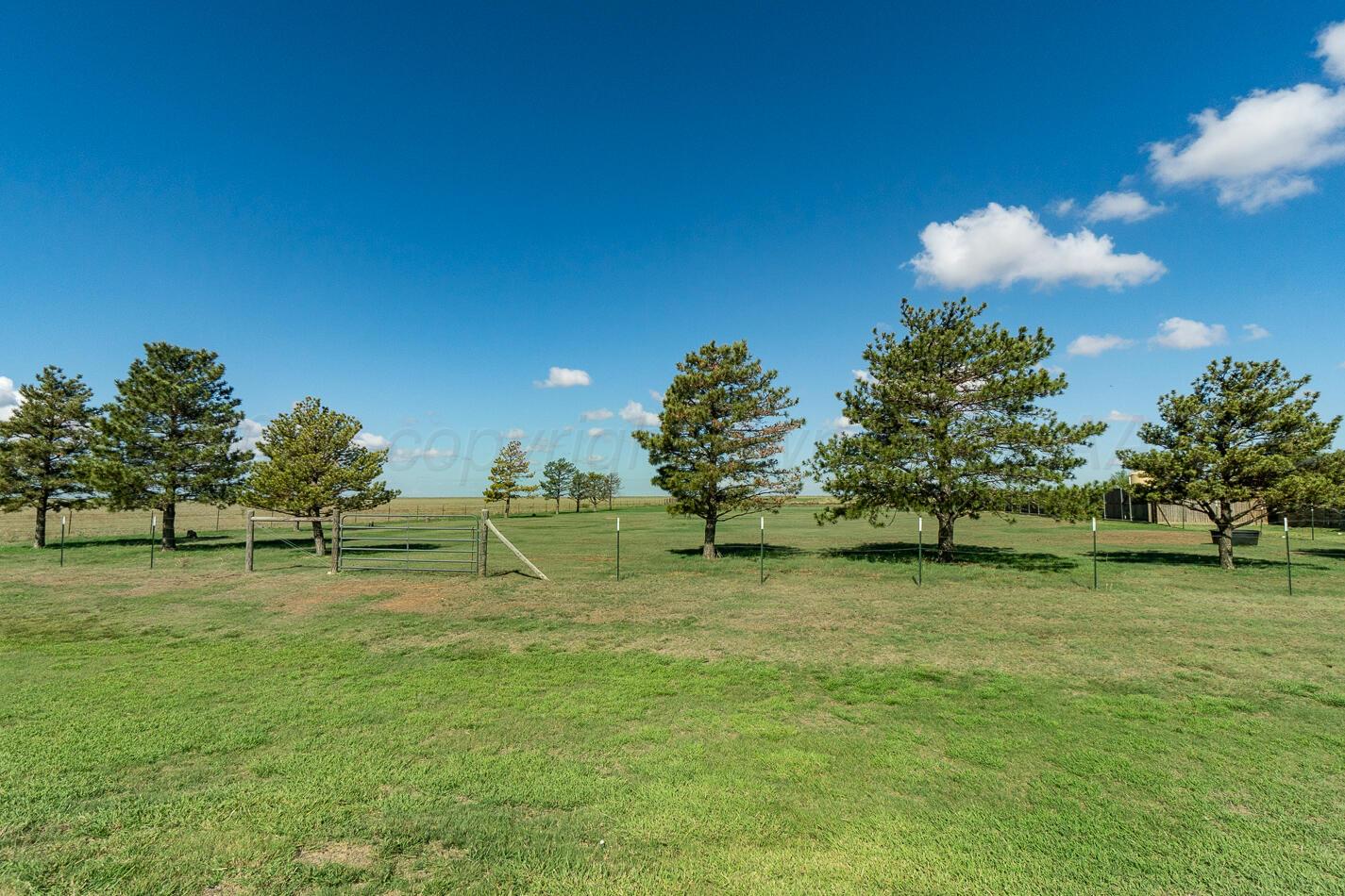 4597 Highway 207 Property Photo 30