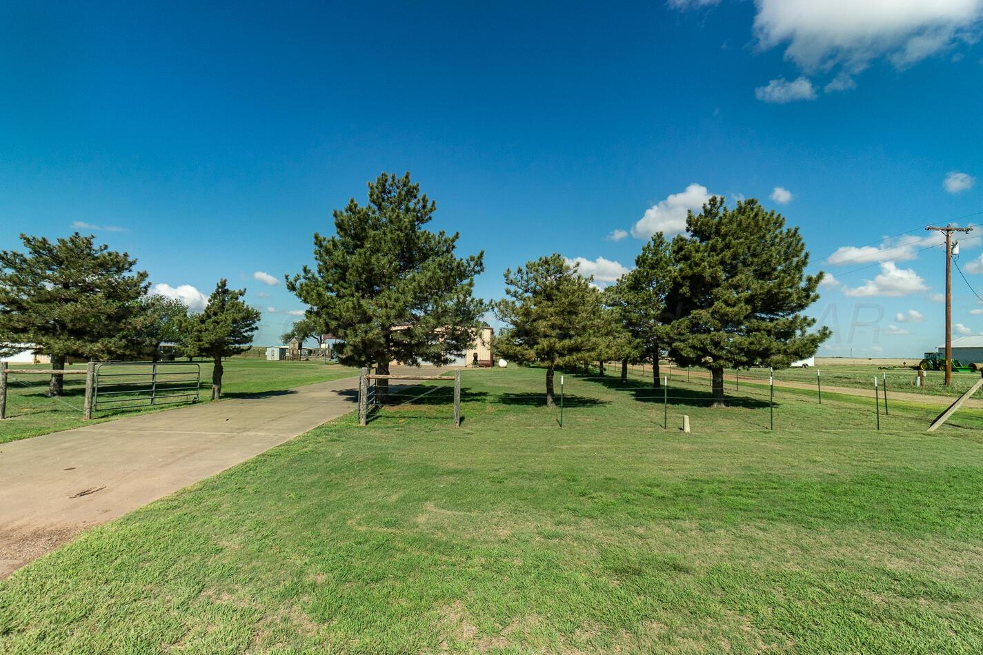 4597 Highway 207 Property Photo 34