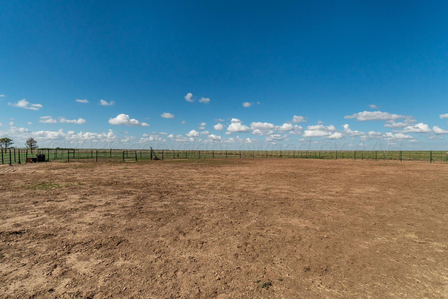 4597 Highway 207 Property Photo 63