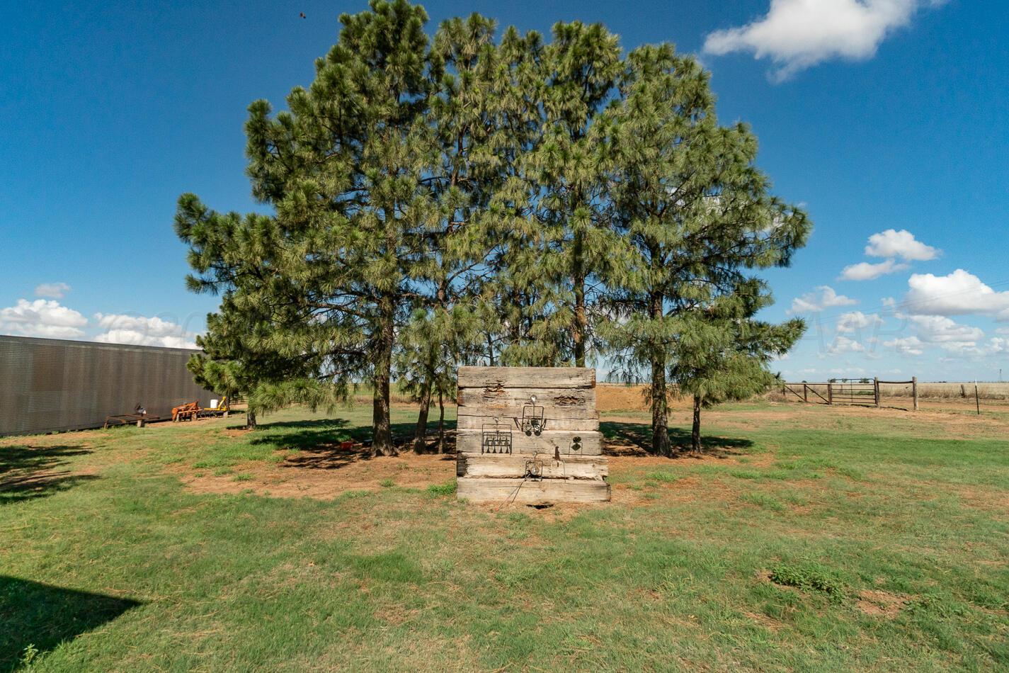4597 Highway 207 Property Photo 65