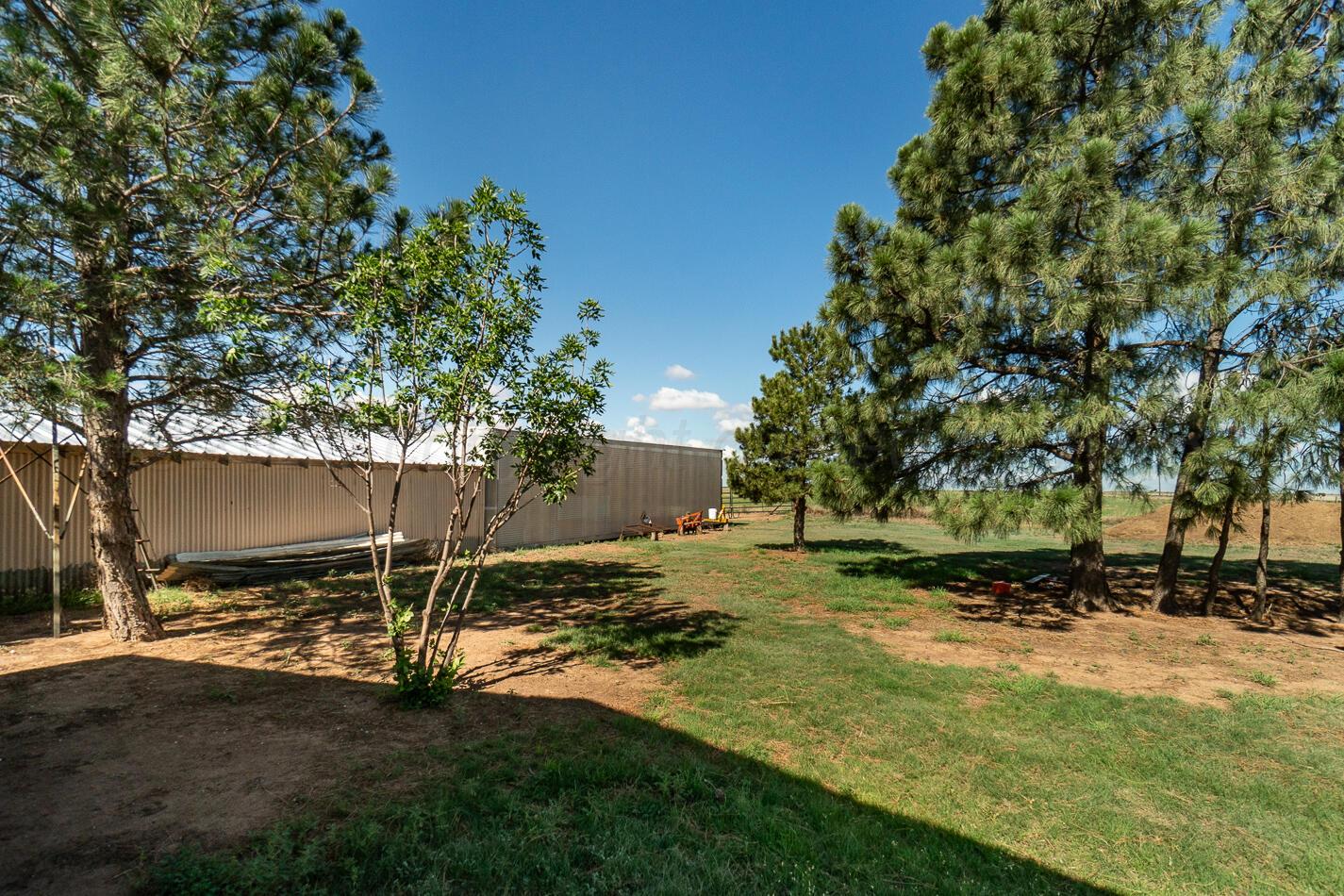 4597 Highway 207 Property Photo 66
