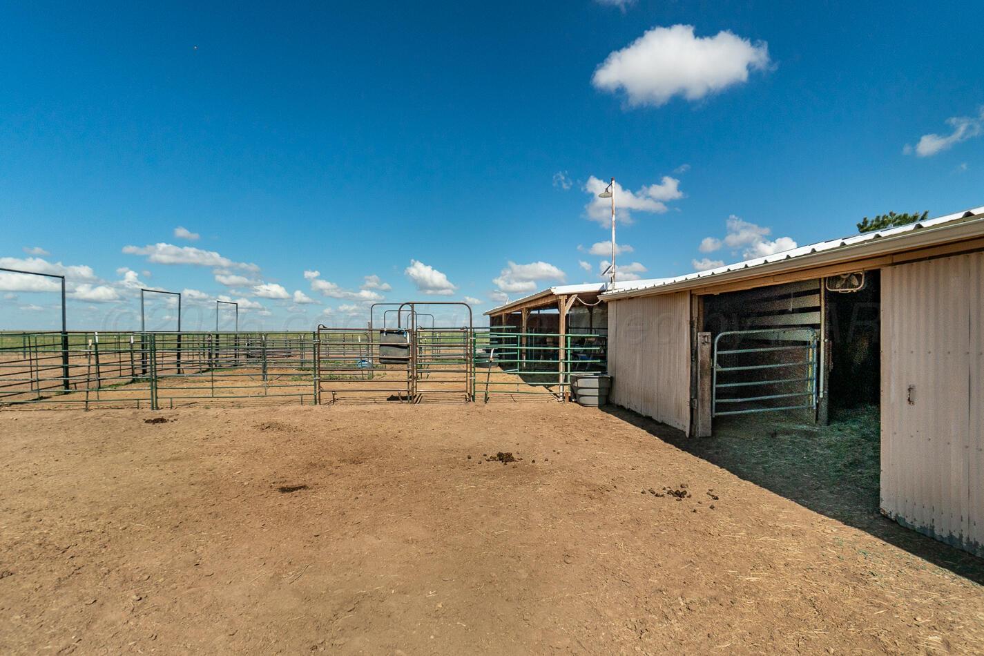 4597 Highway 207 Property Photo 67