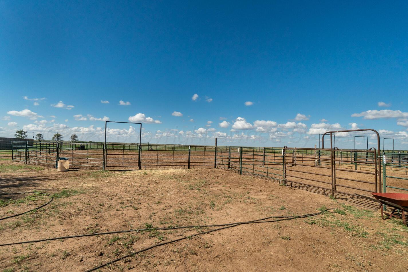 4597 Highway 207 Property Photo 68