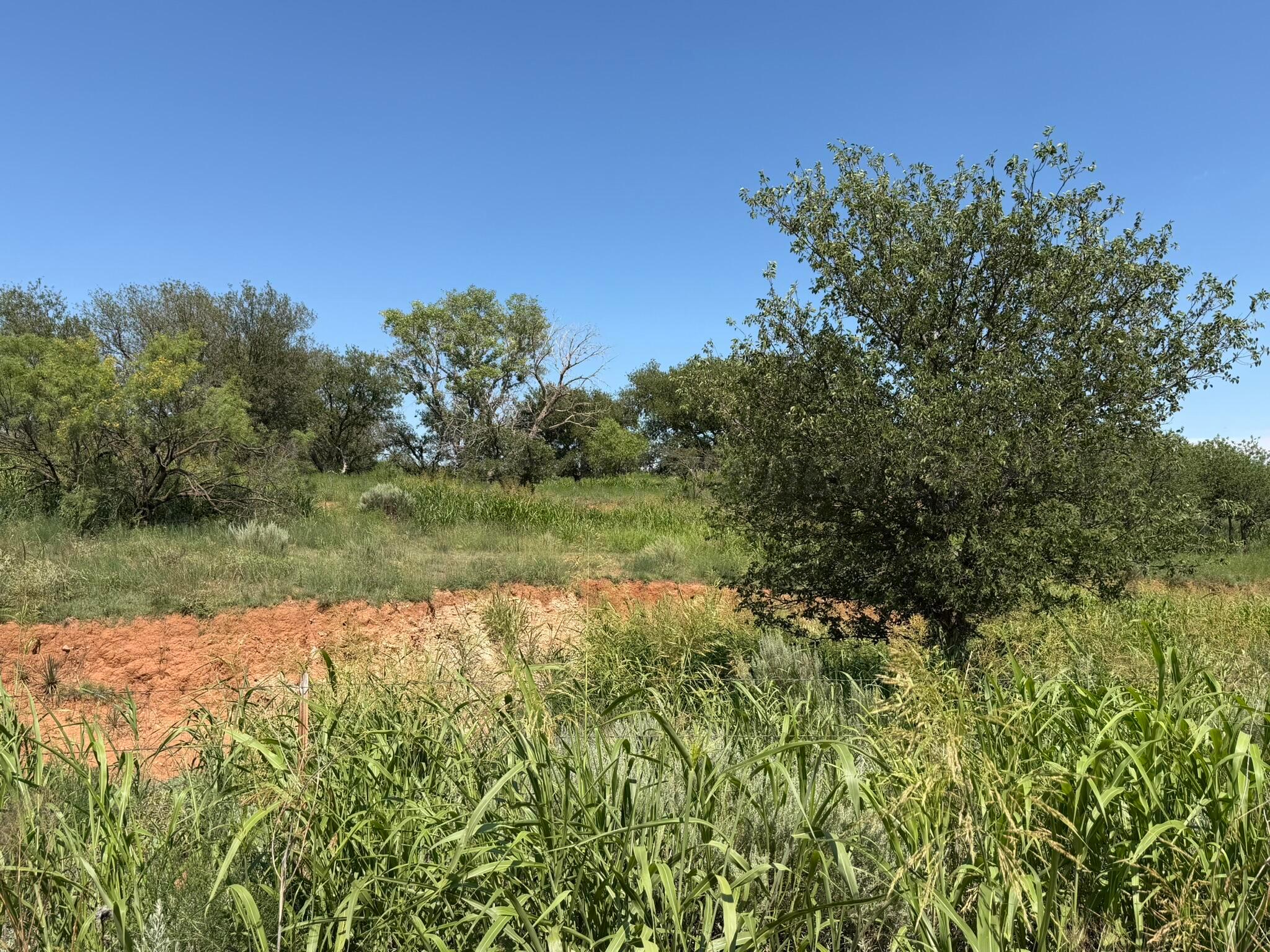 15400 County Road I Property Photo 14
