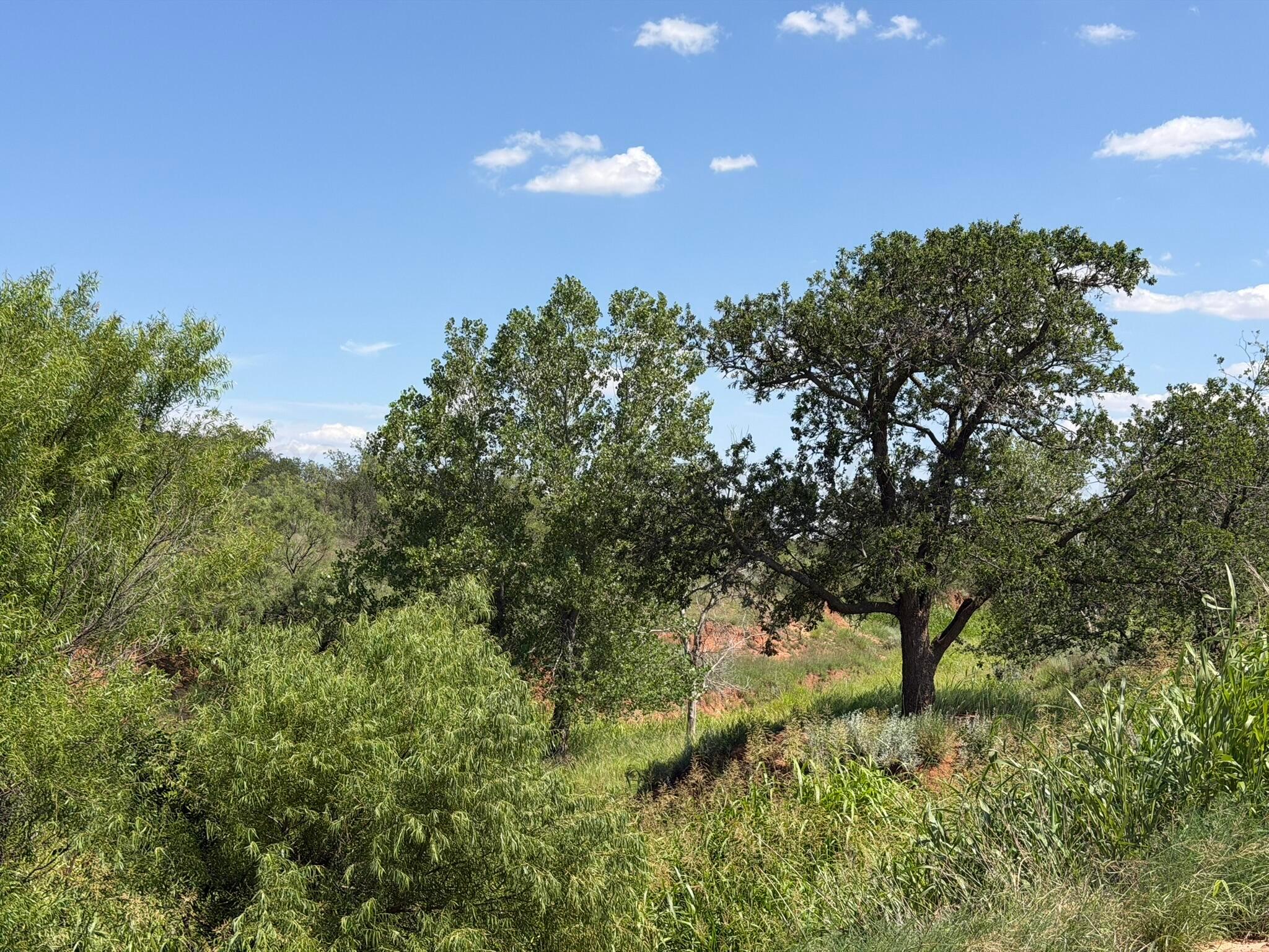 15400 County Road I Property Photo 17