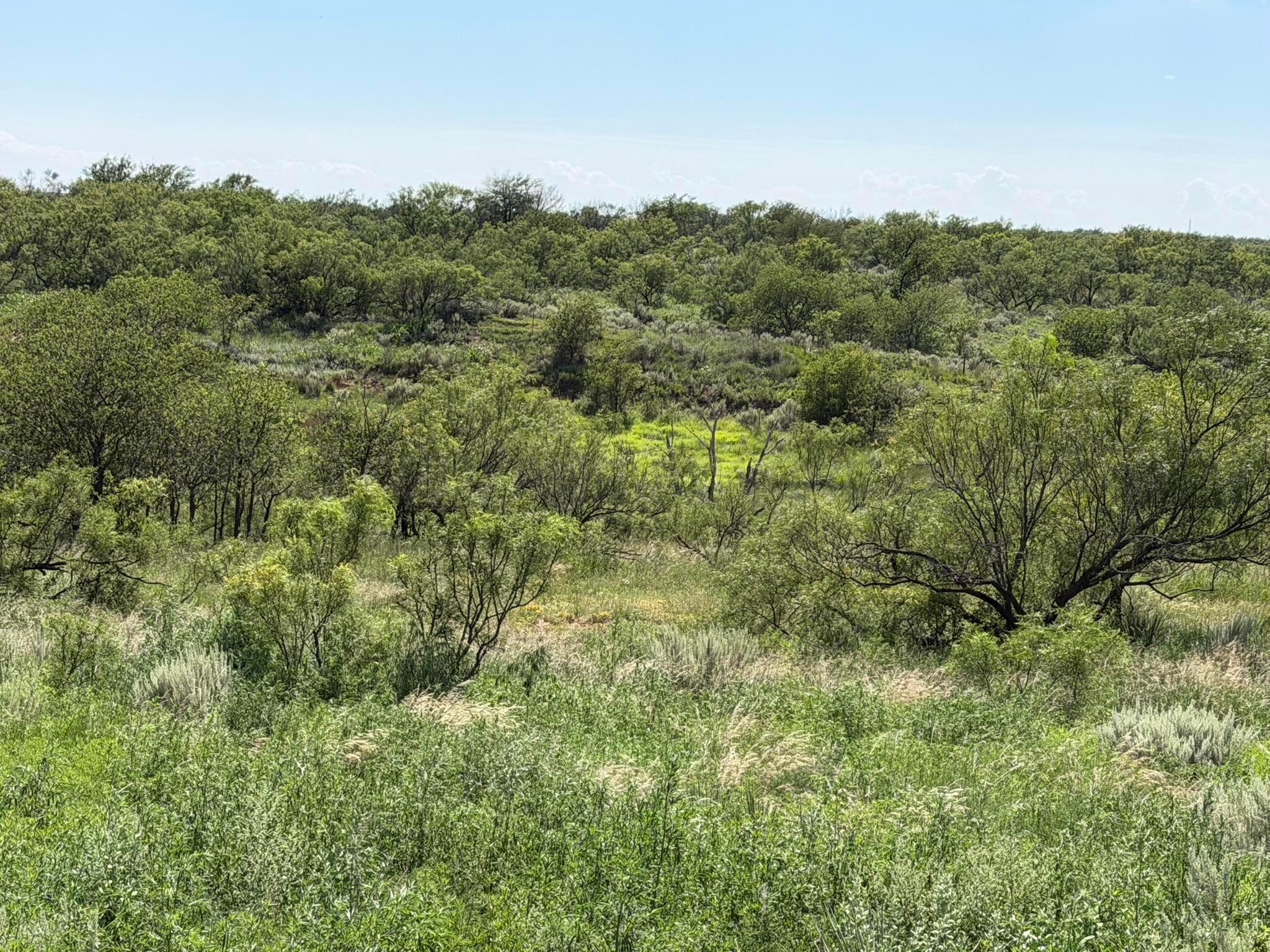 15400 County Road I Property Photo 24