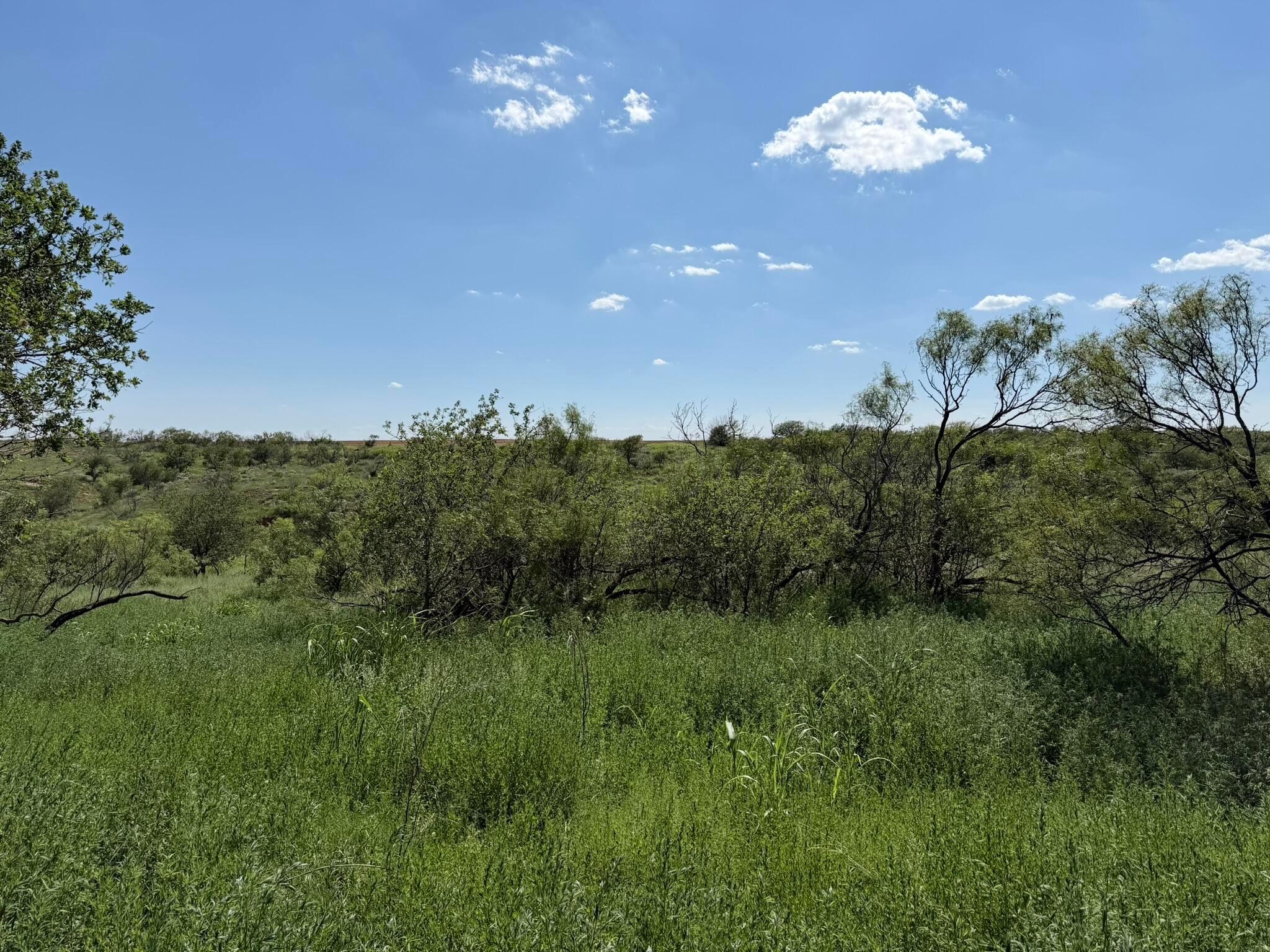 15400 County Road I Property Photo 26