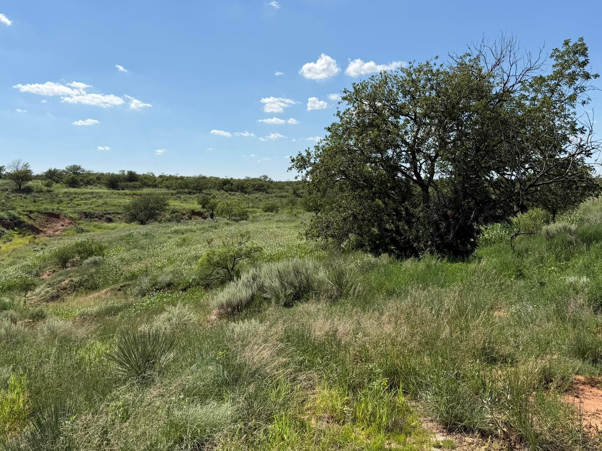 15400 County Road I Property Photo 27